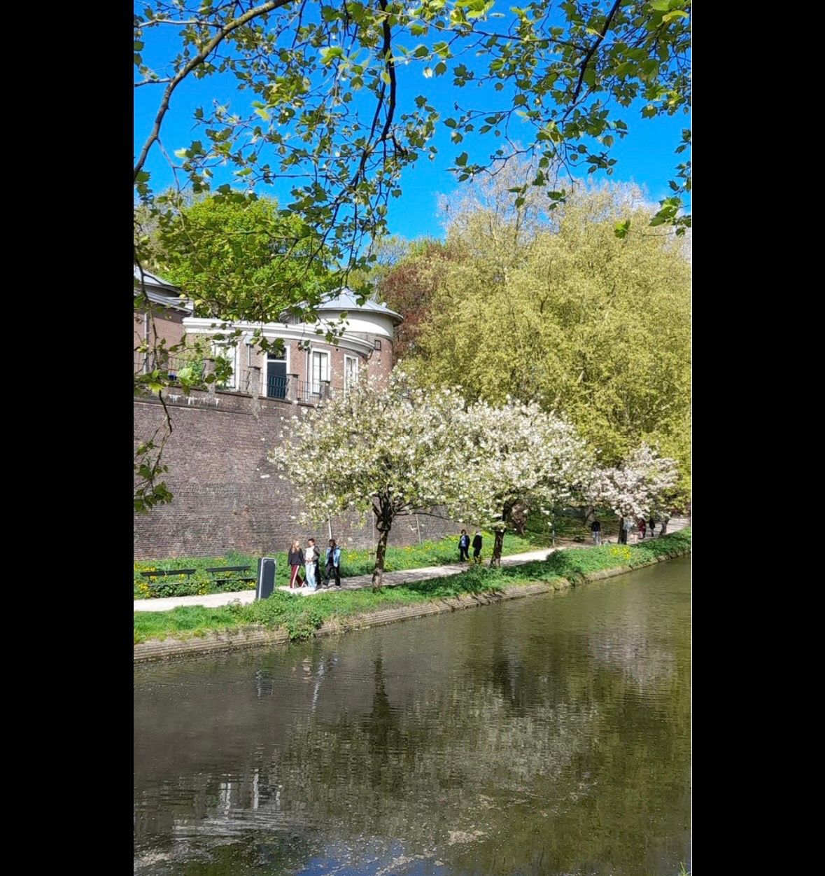 image-14