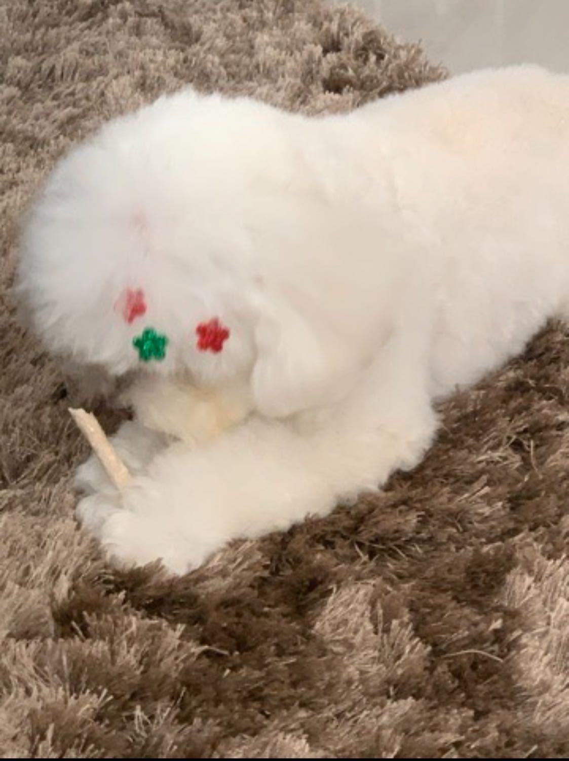 image-6