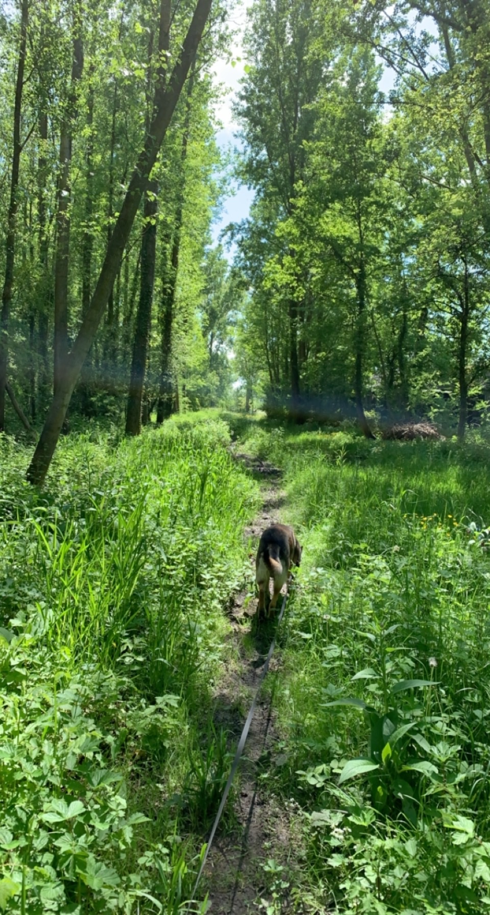 image-9