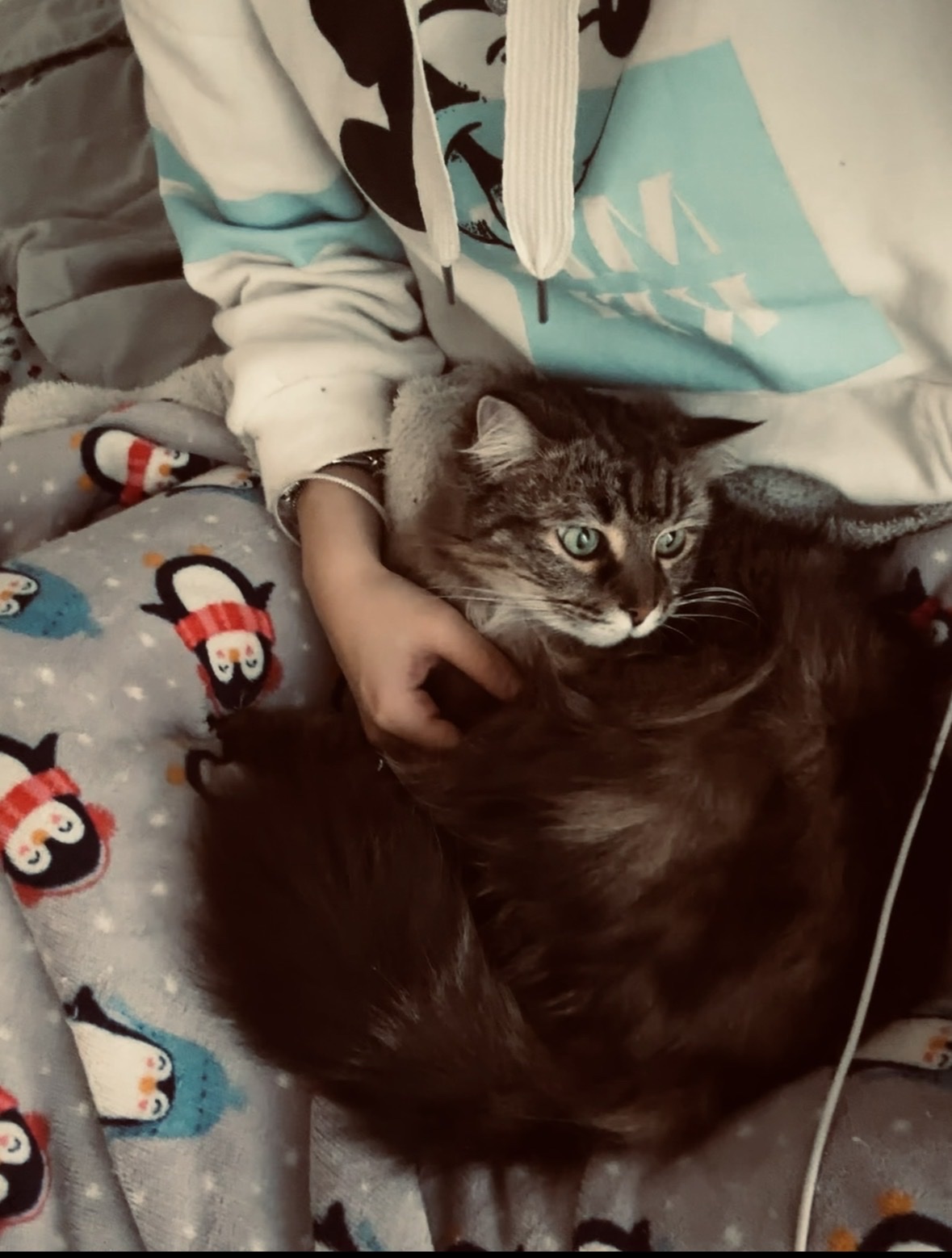 image-5