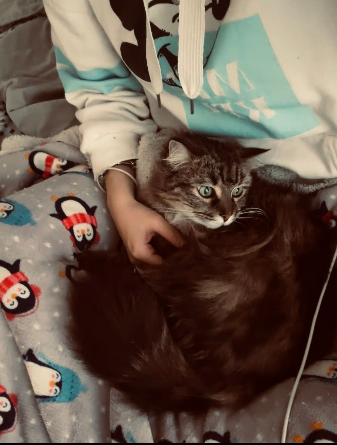 image-5