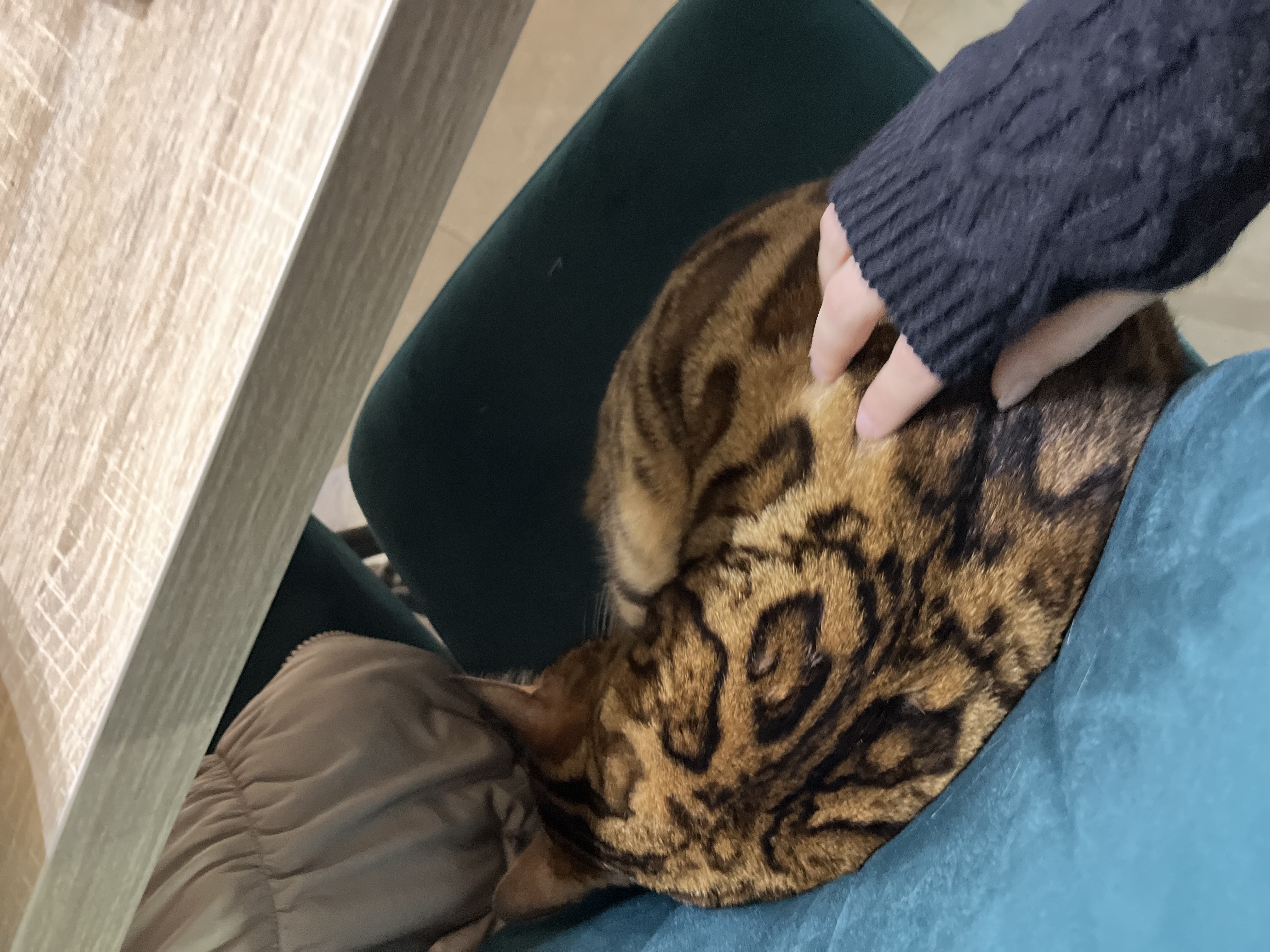 image-8