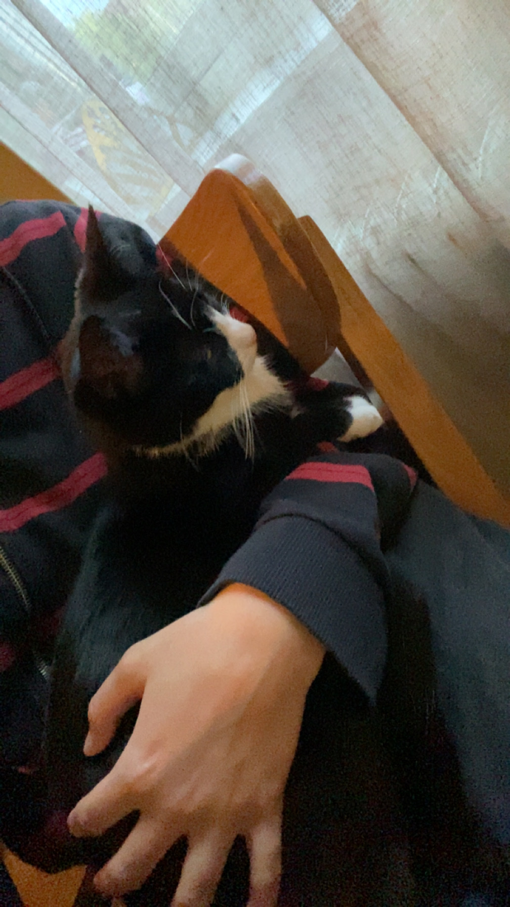 image-11