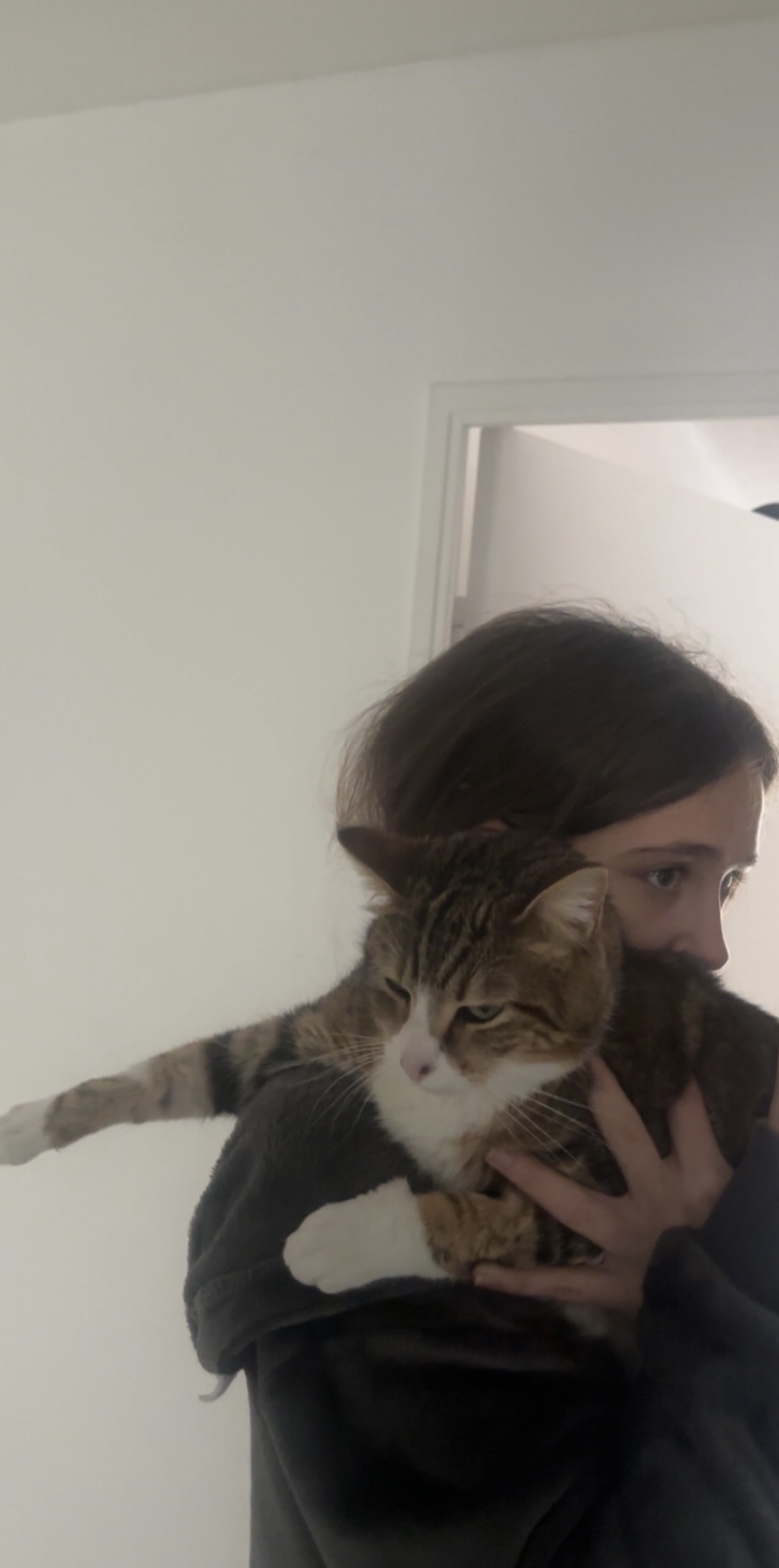 image-6