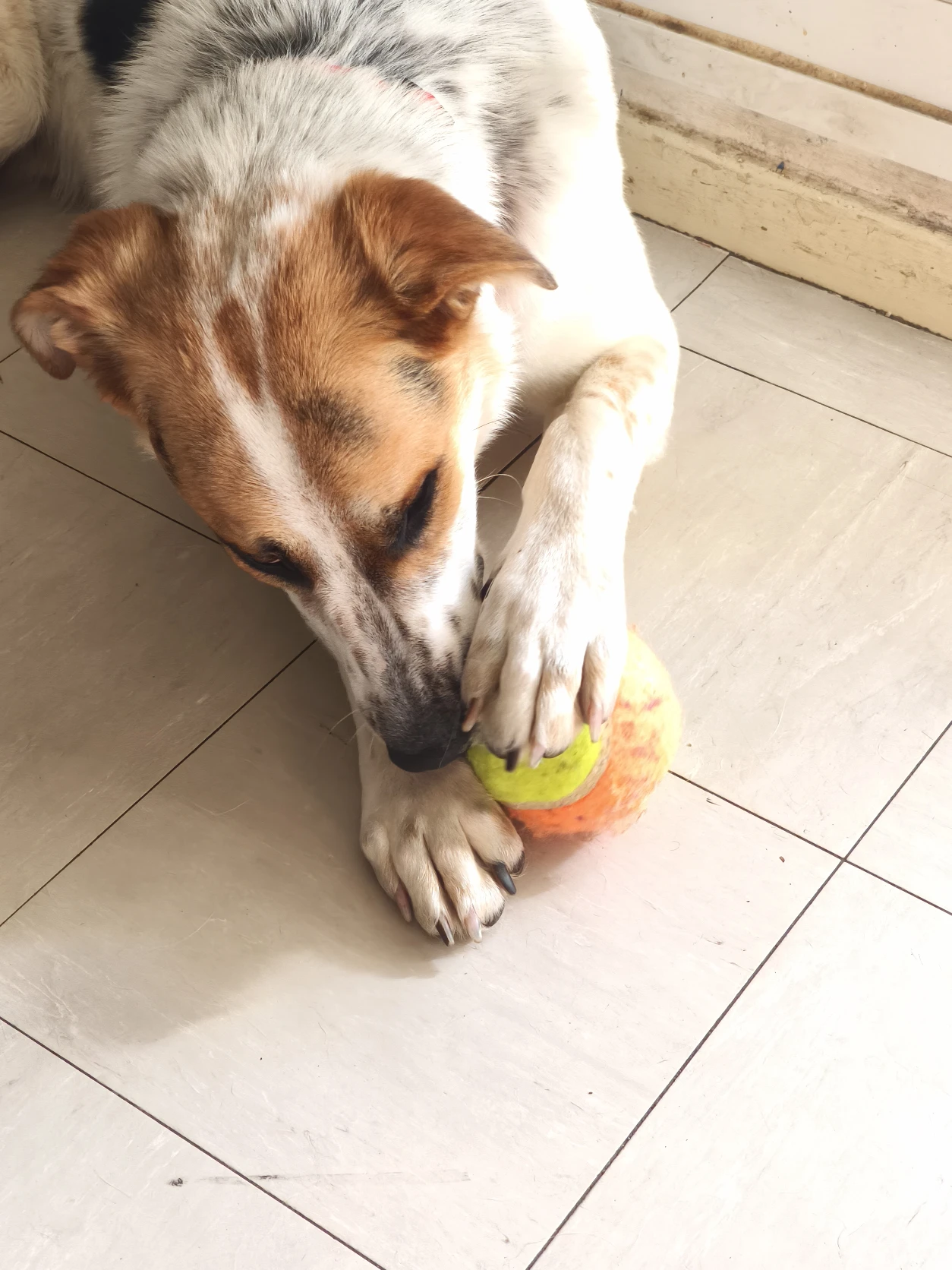 image-14