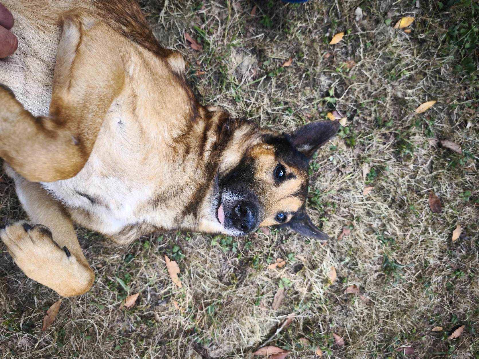 image-7