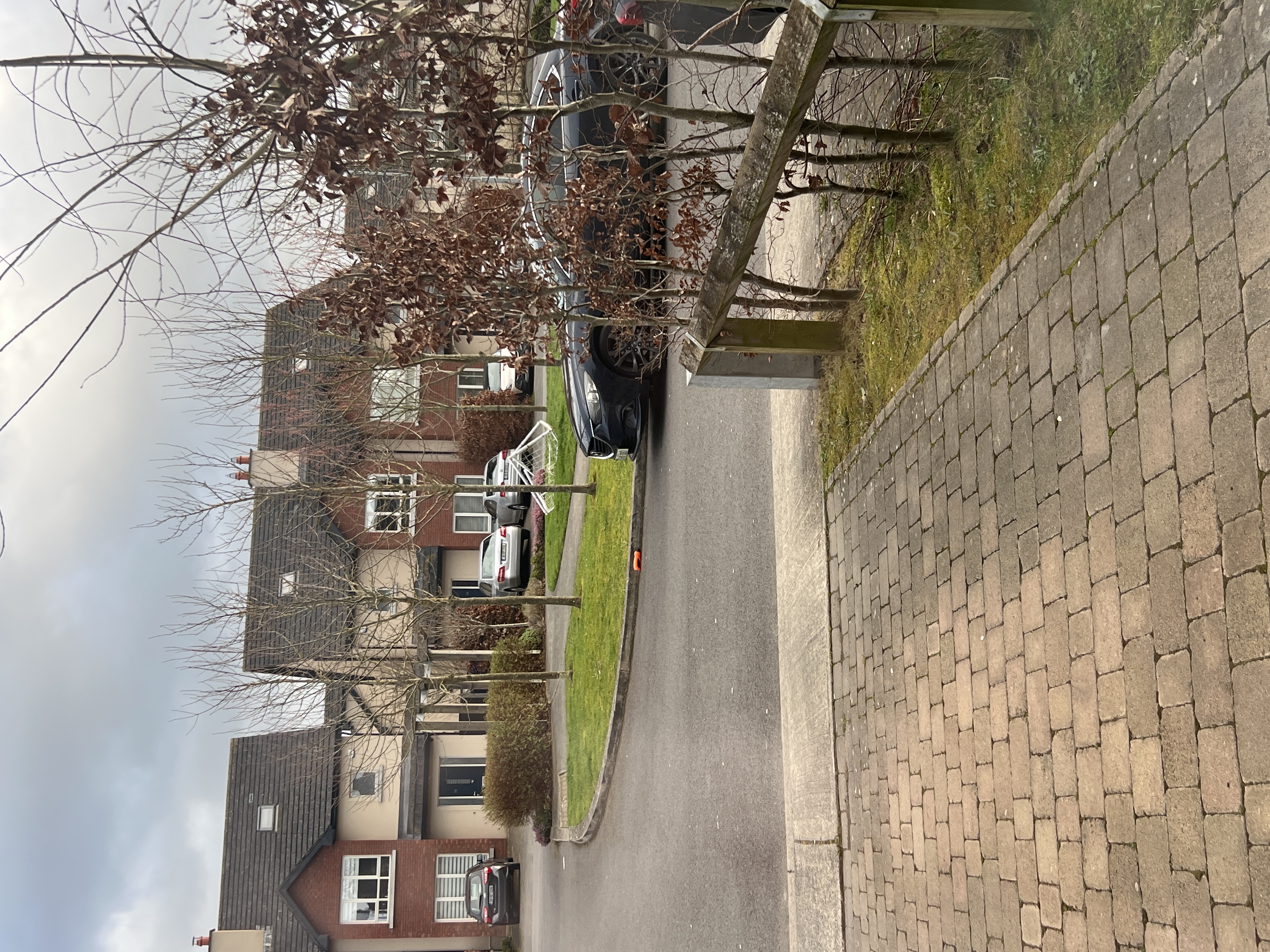 image-23