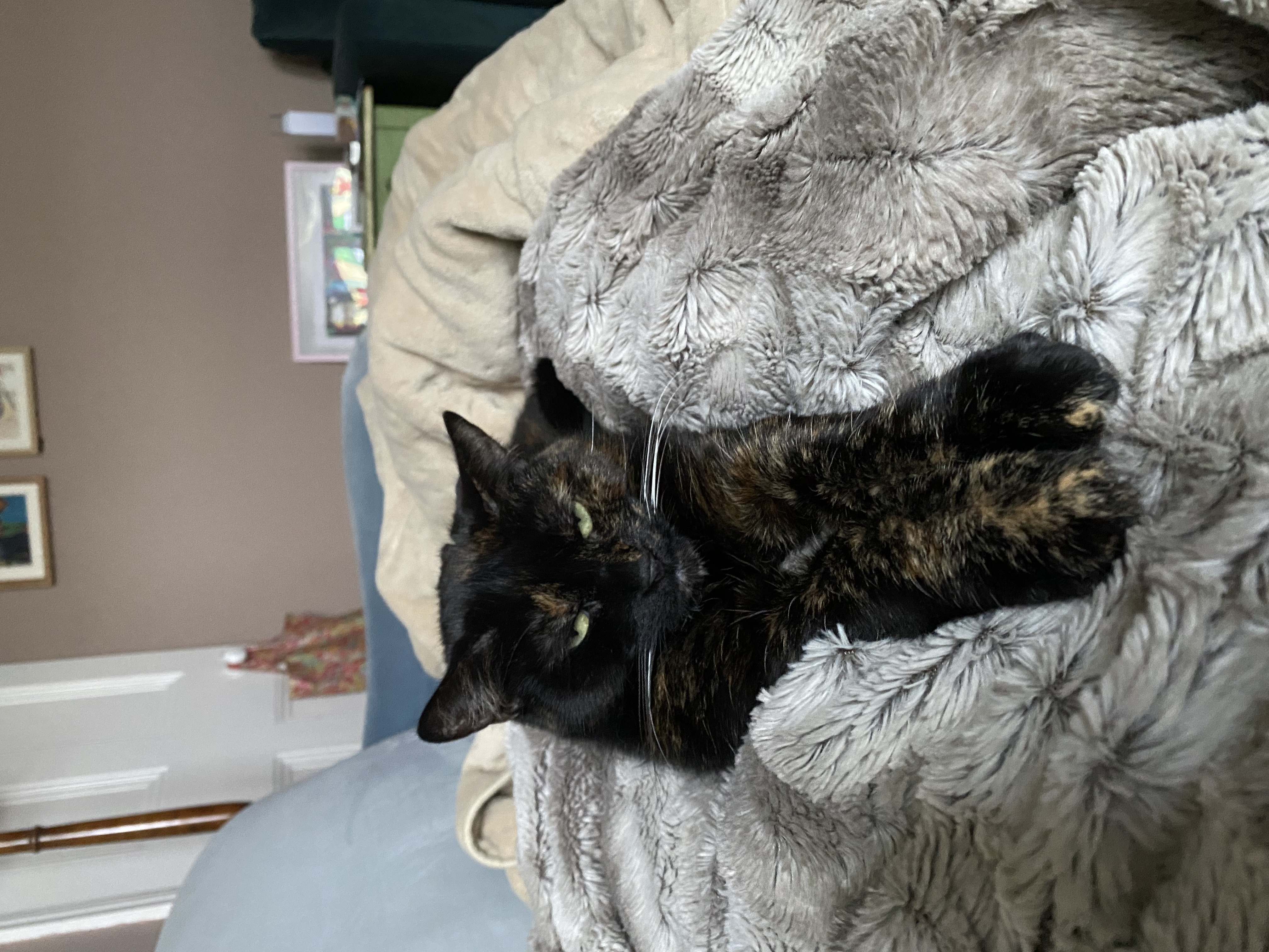 image-6