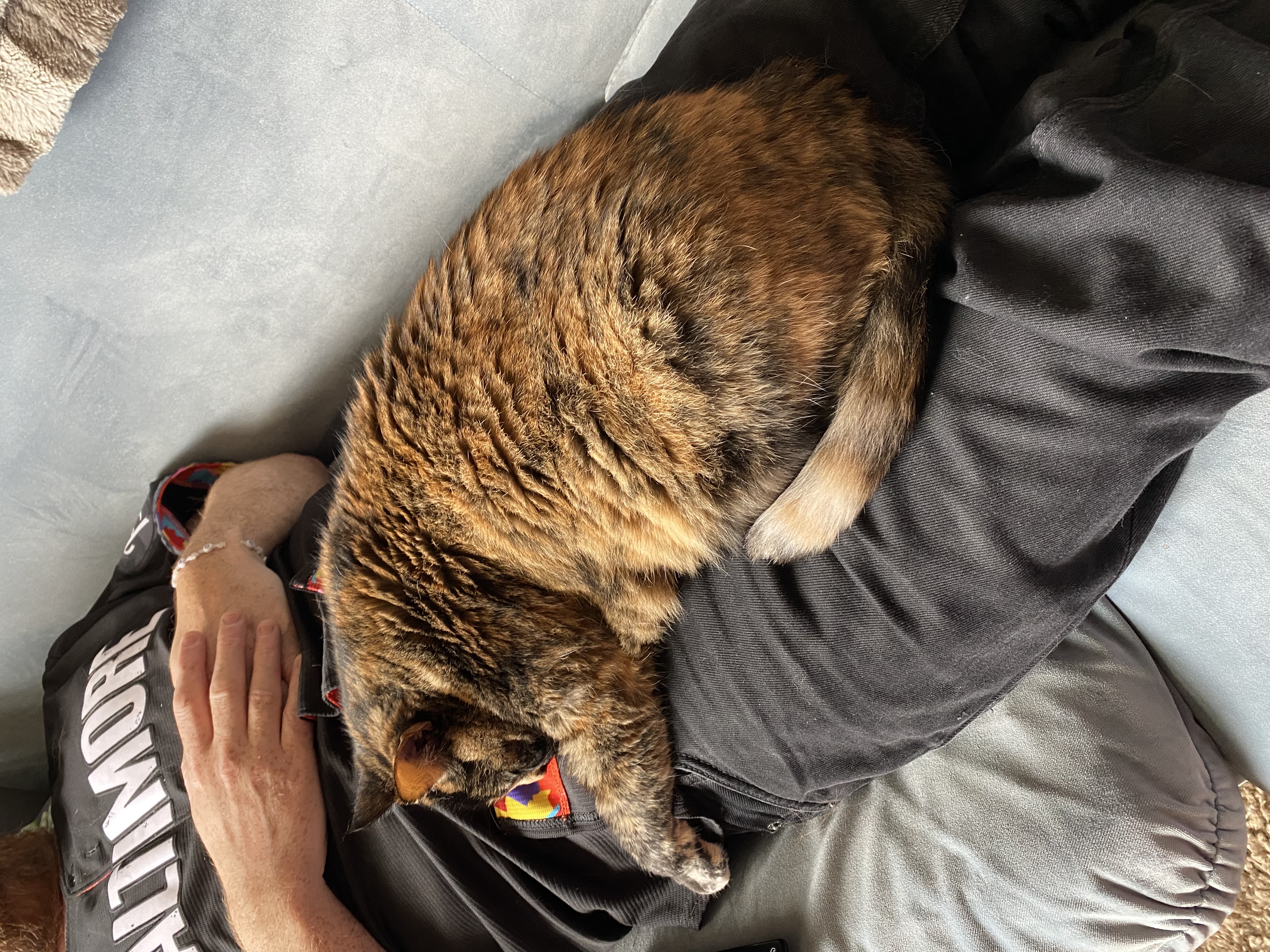 image-8