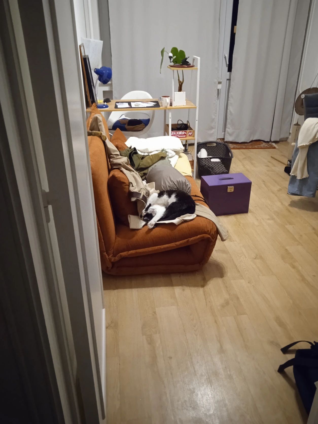 image-16