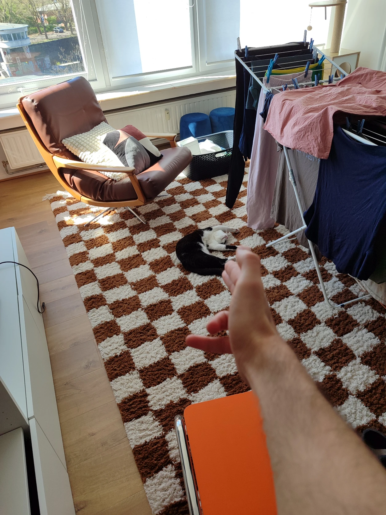 image-12