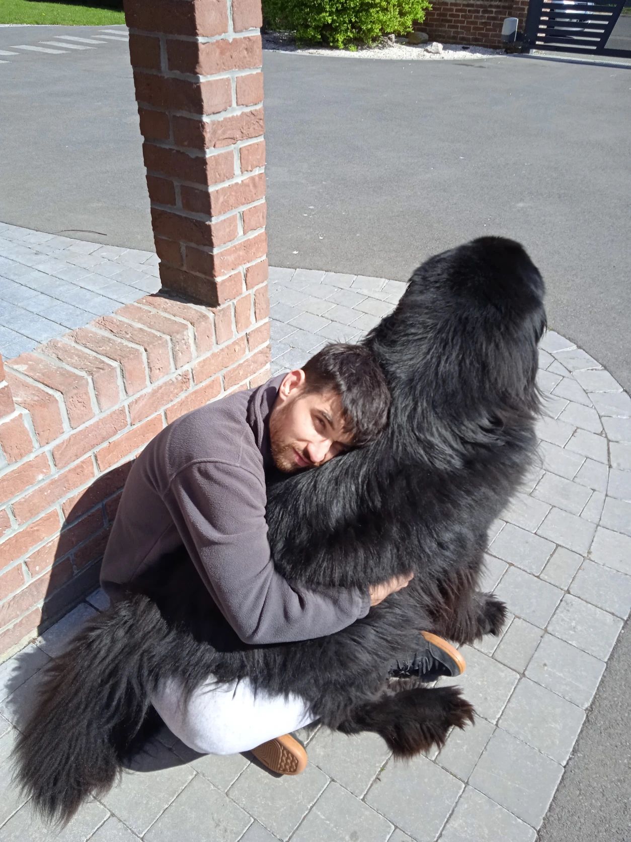 image-5