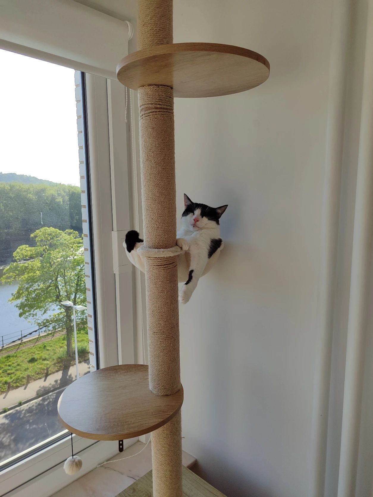 image-11