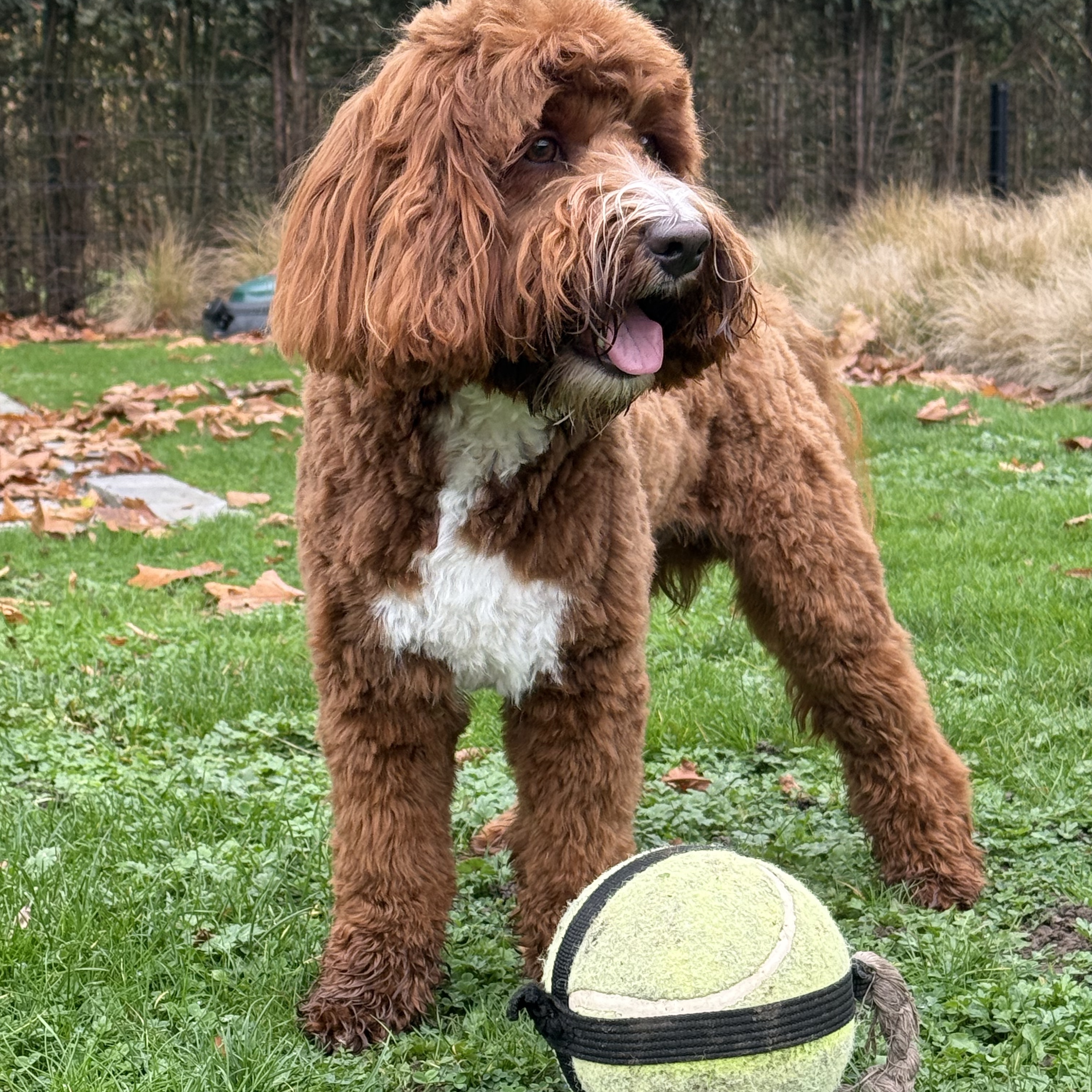 George