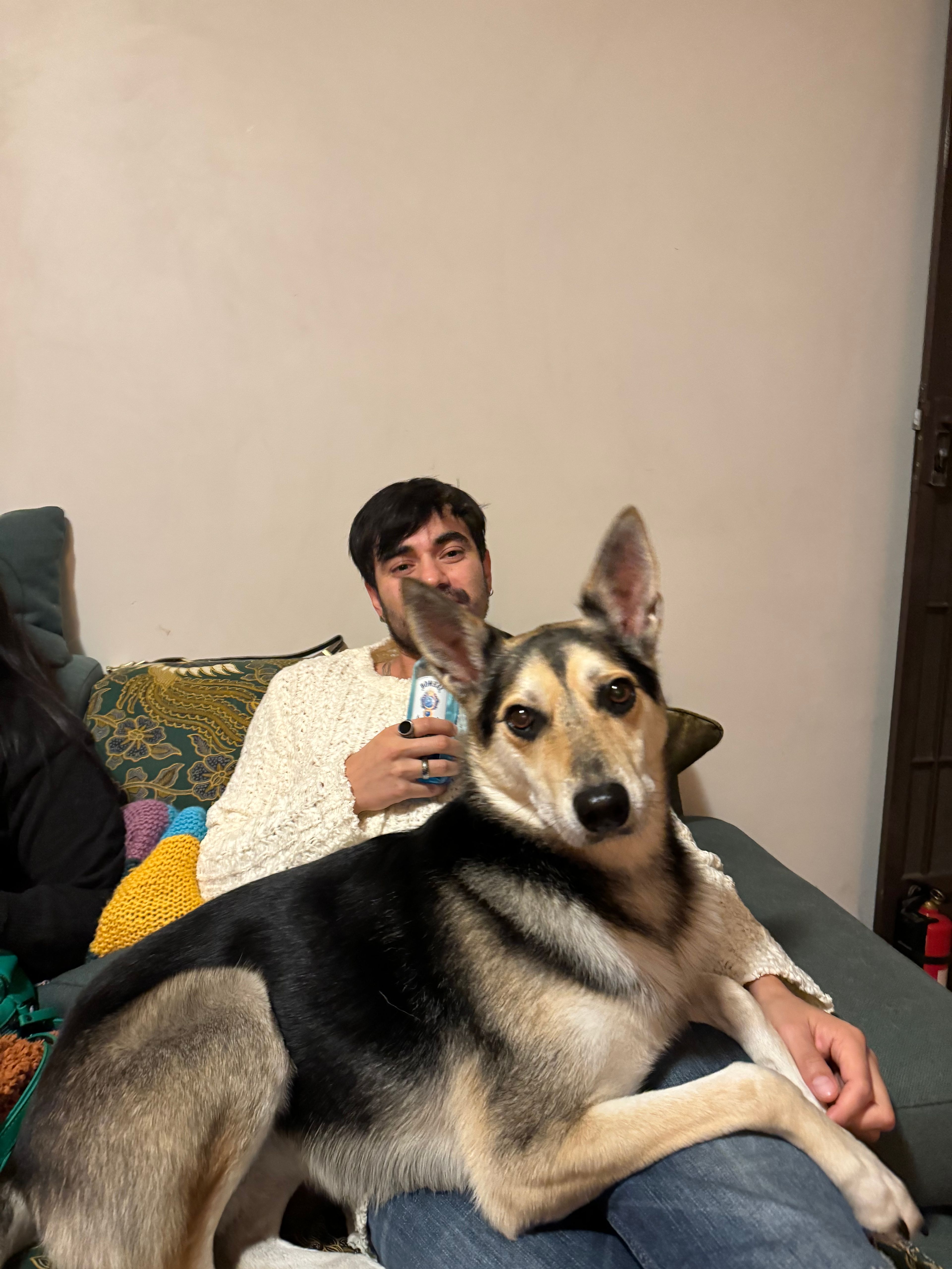 image-17