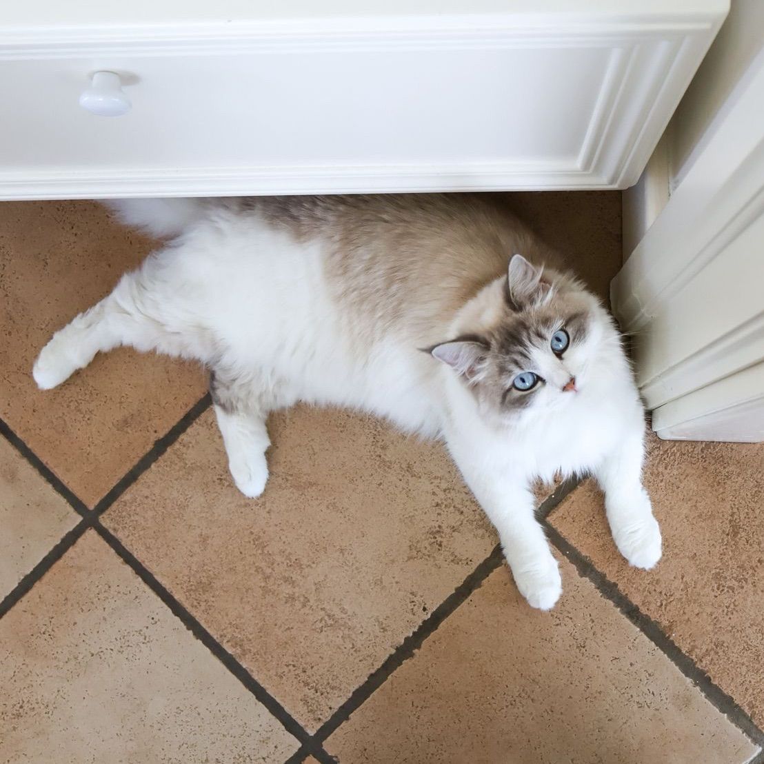 Mia