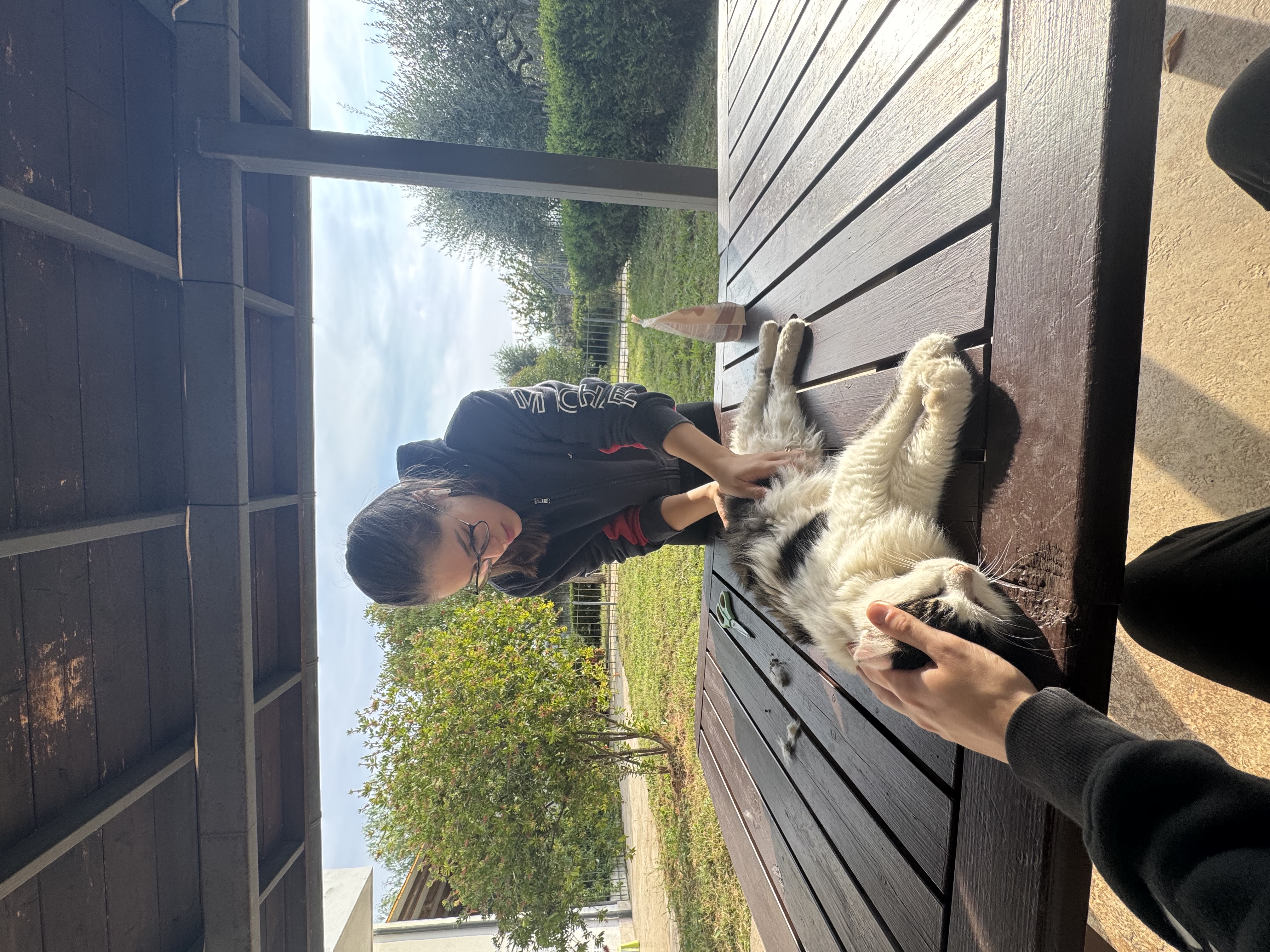 image-8