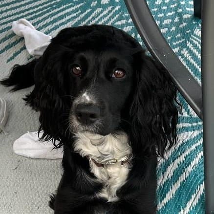 Skye