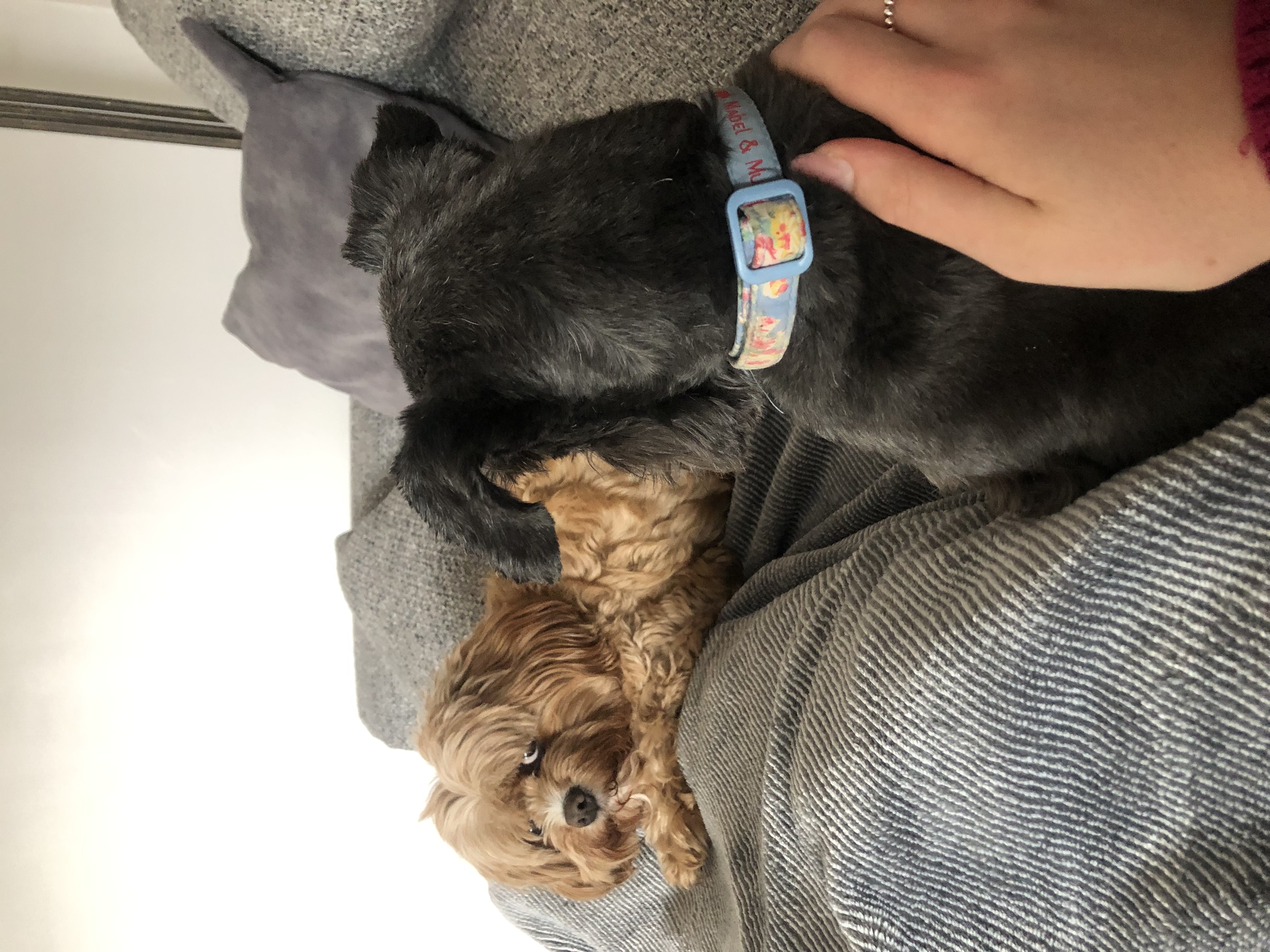 image-7