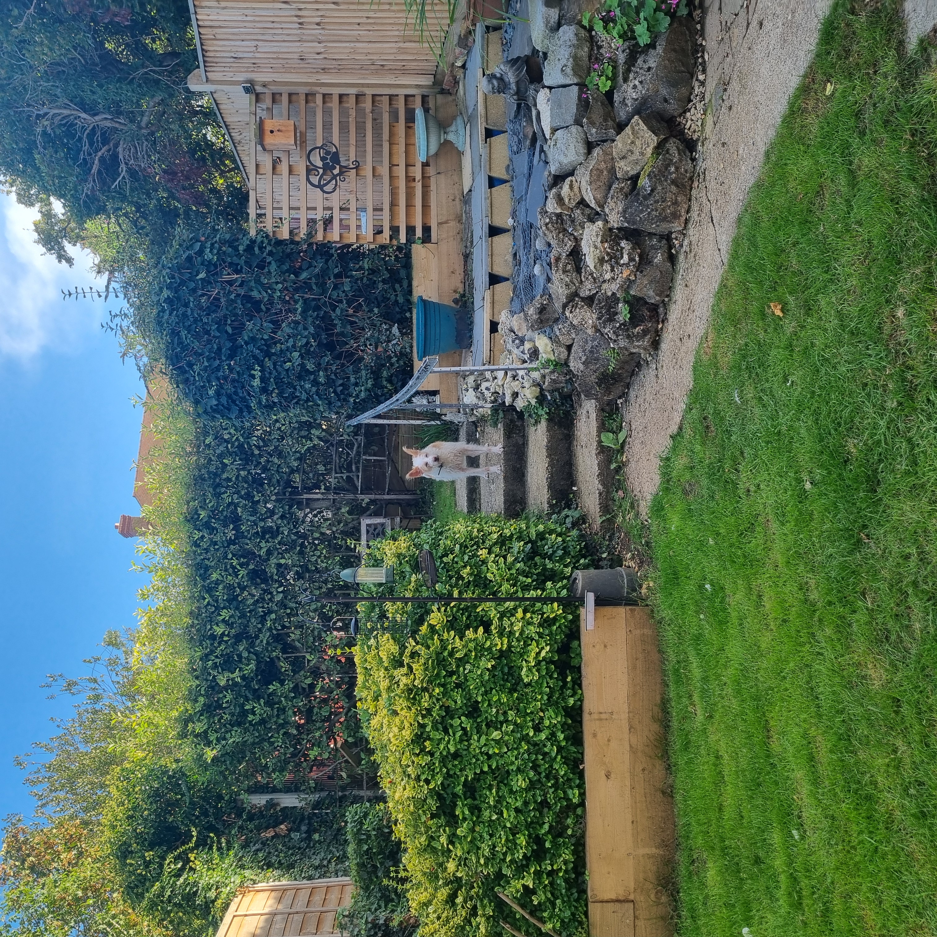 image-10