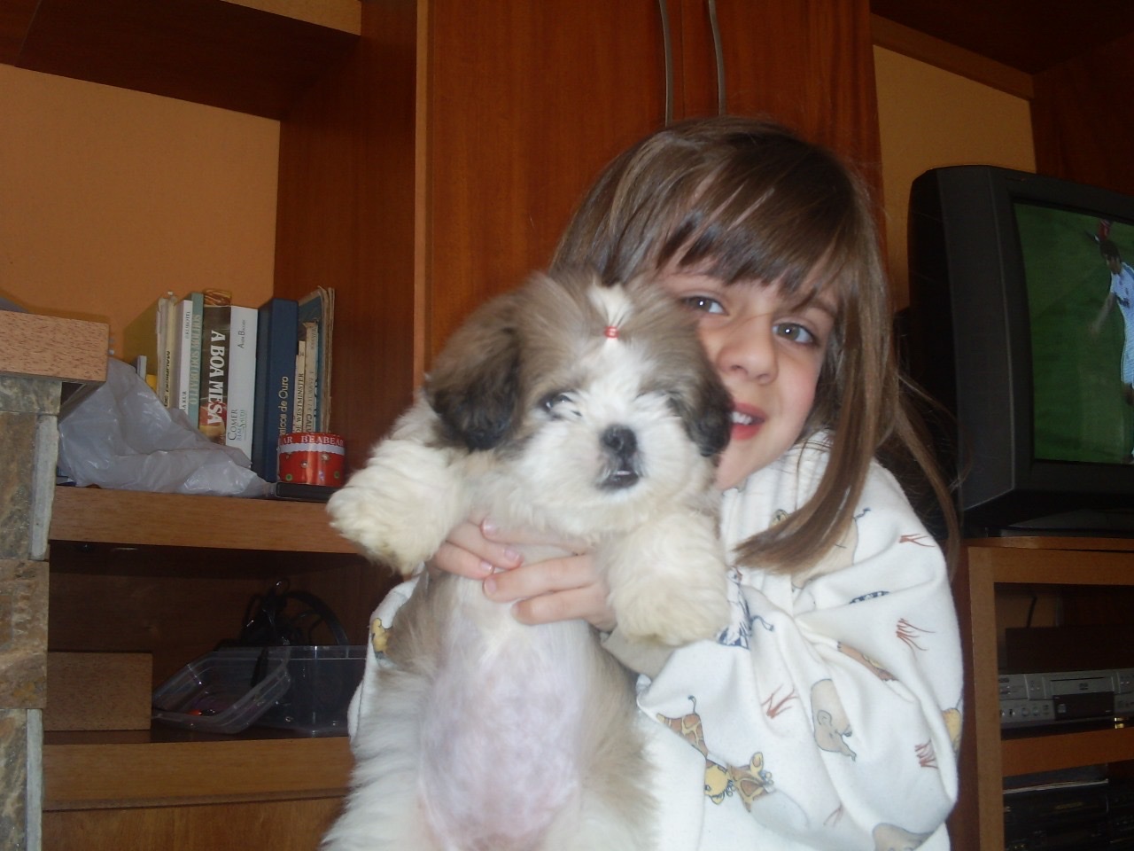 image-5