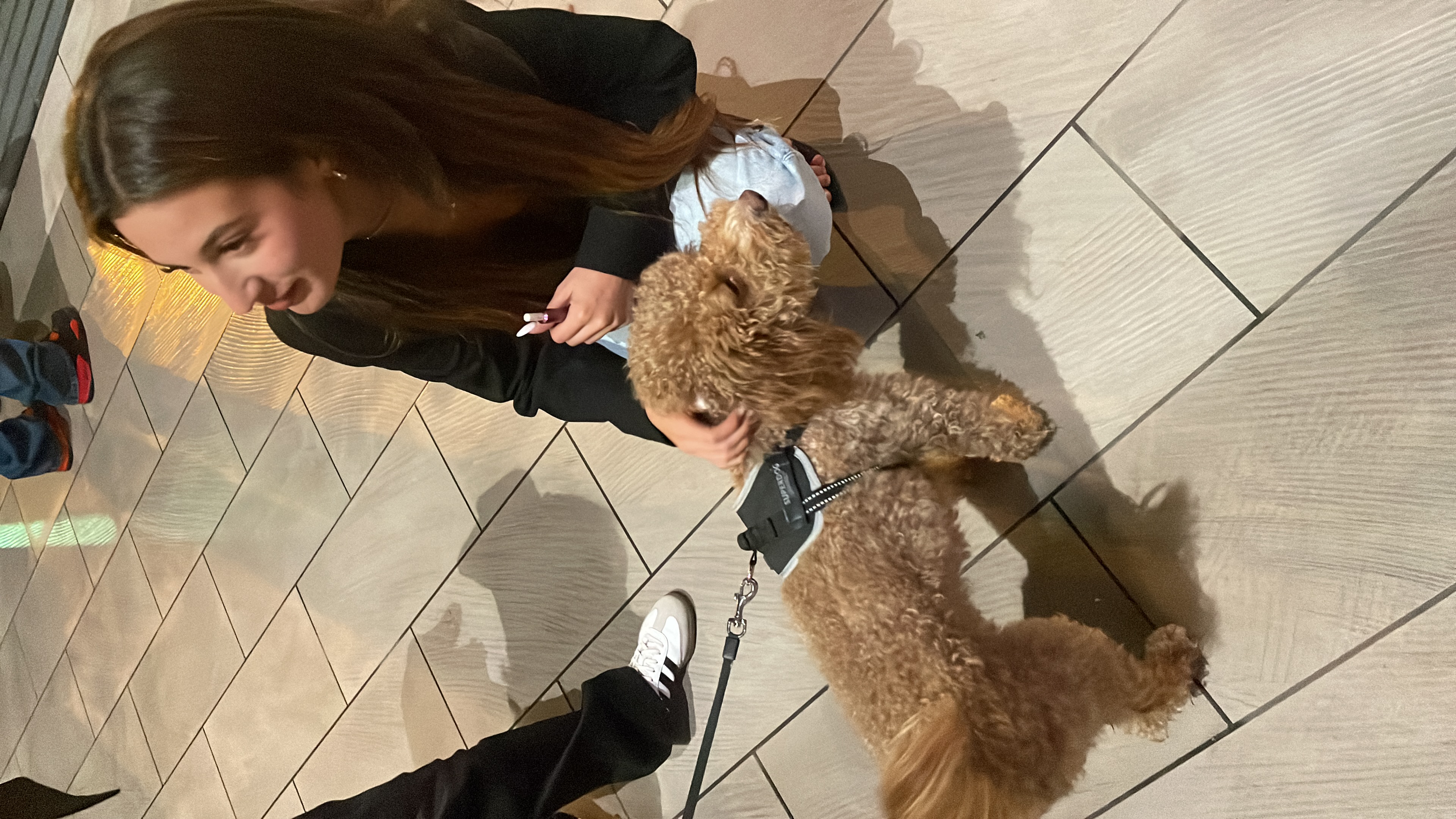 image-7
