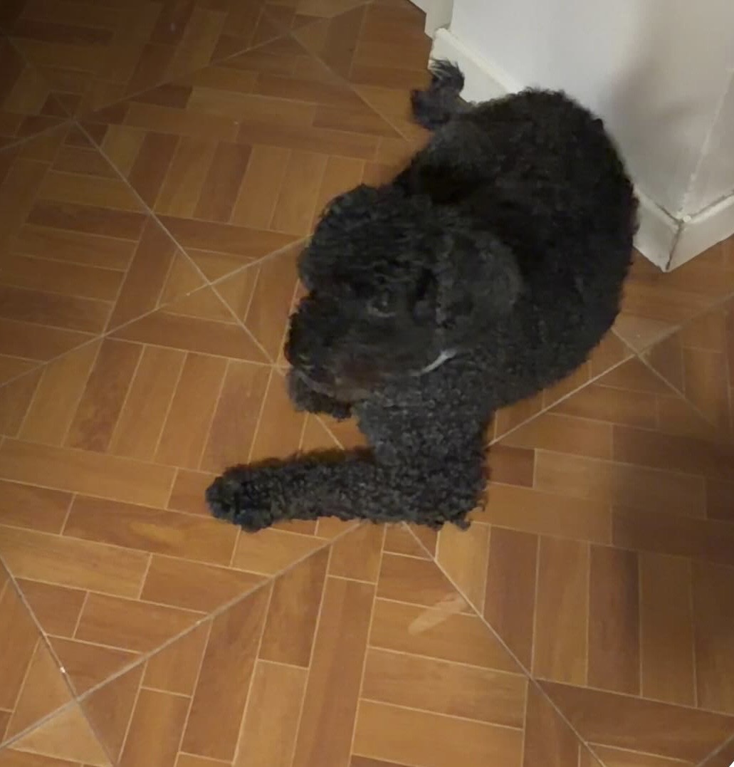 image-14