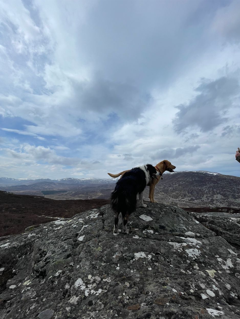 image-7