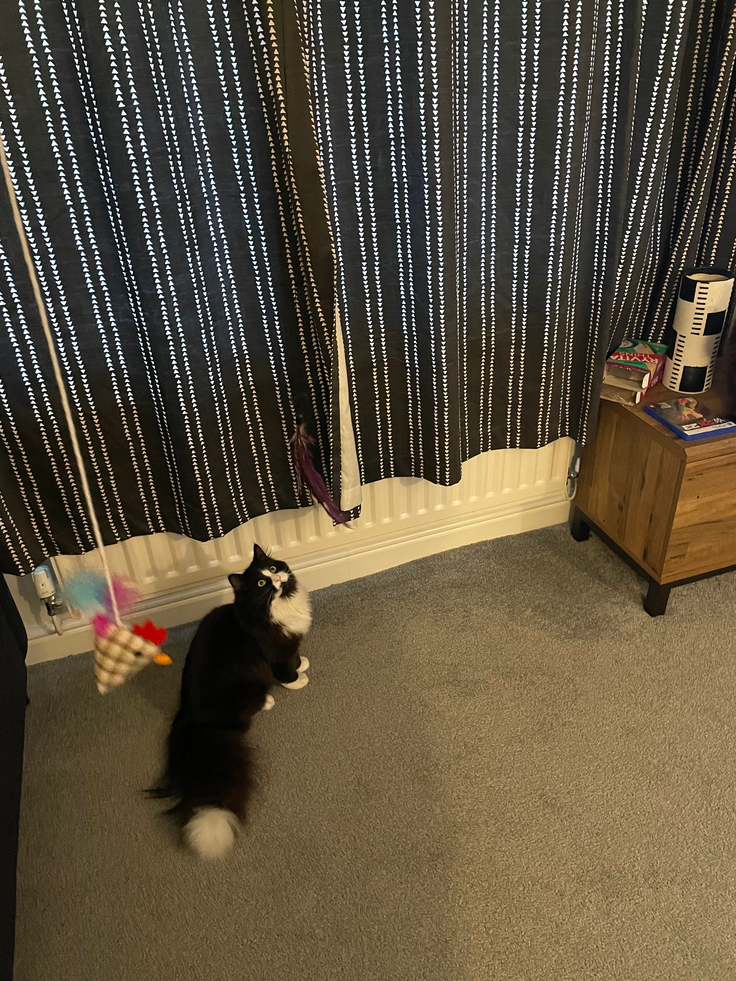 image-9