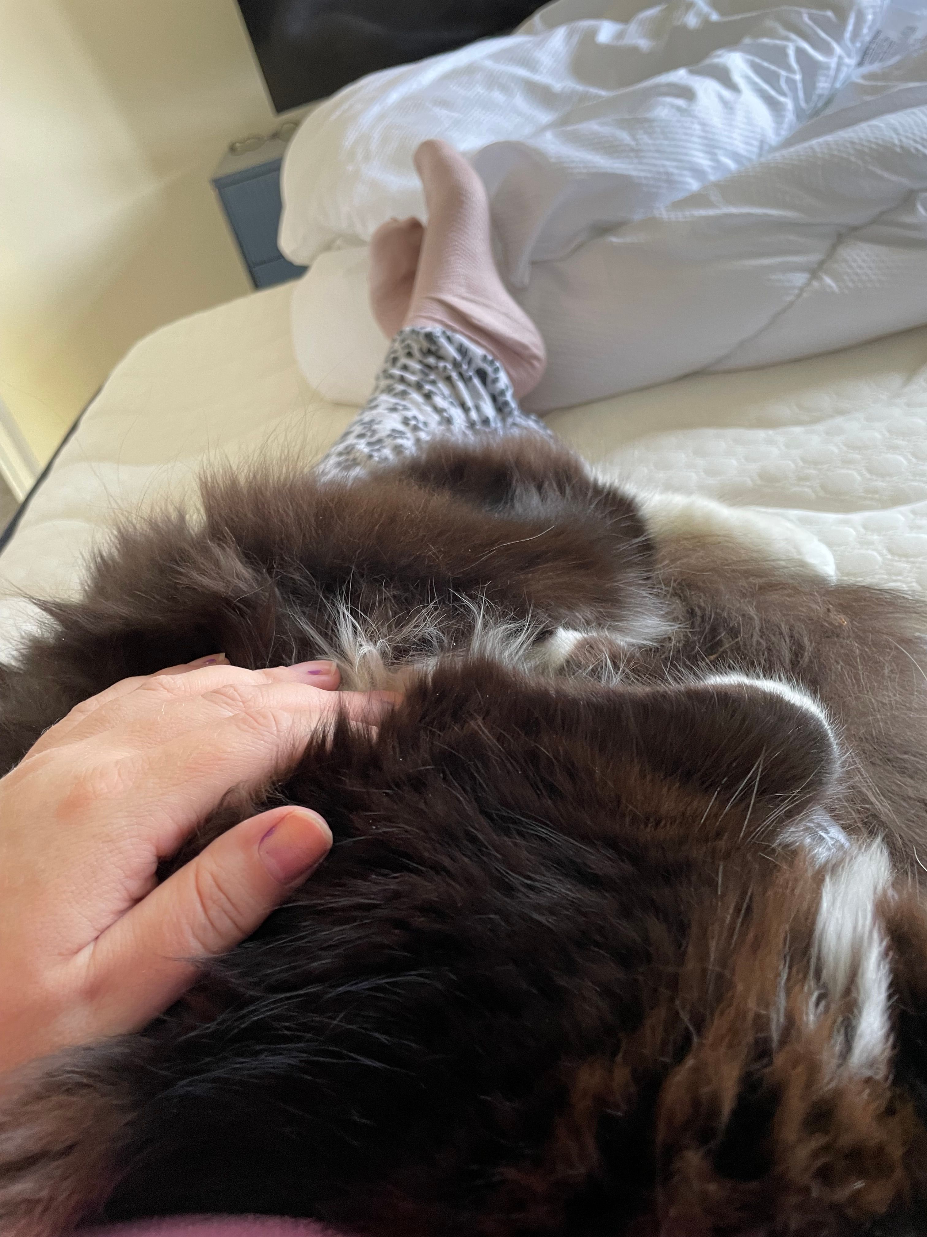 image-8