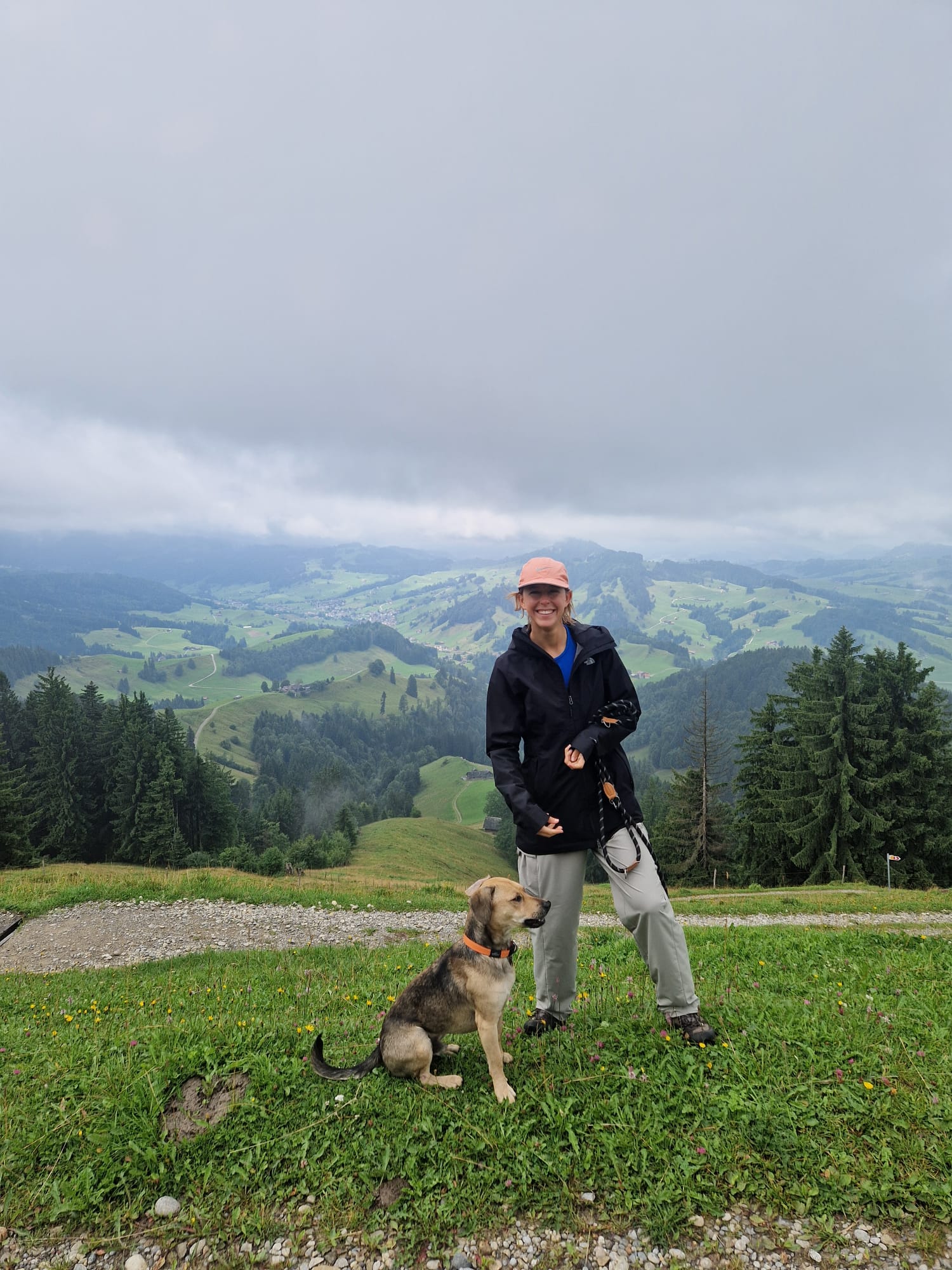 image-5