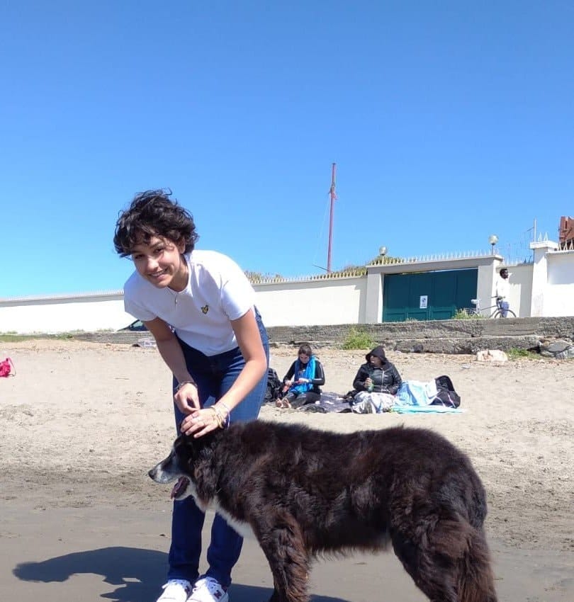 image-8