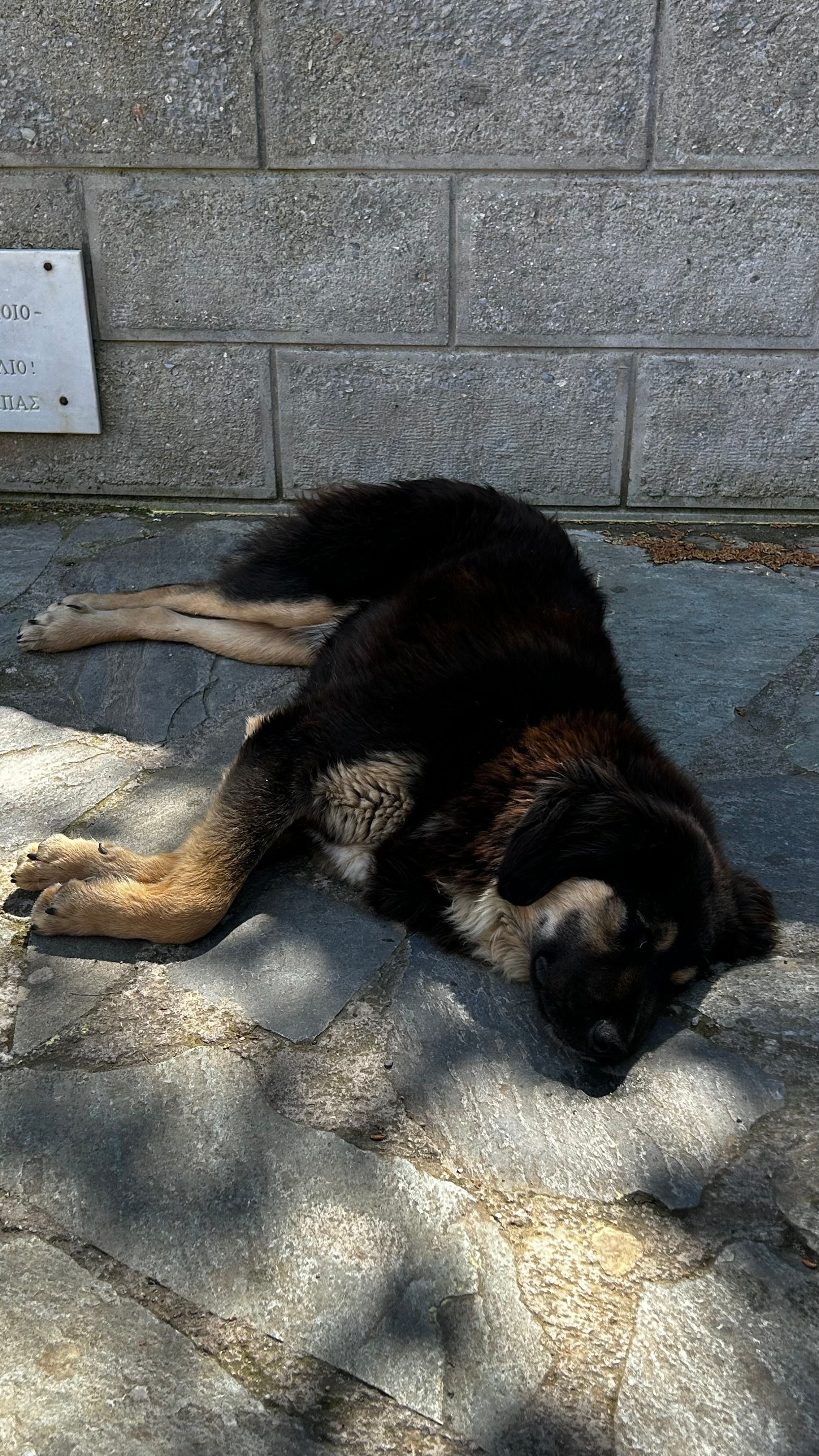 image-4
