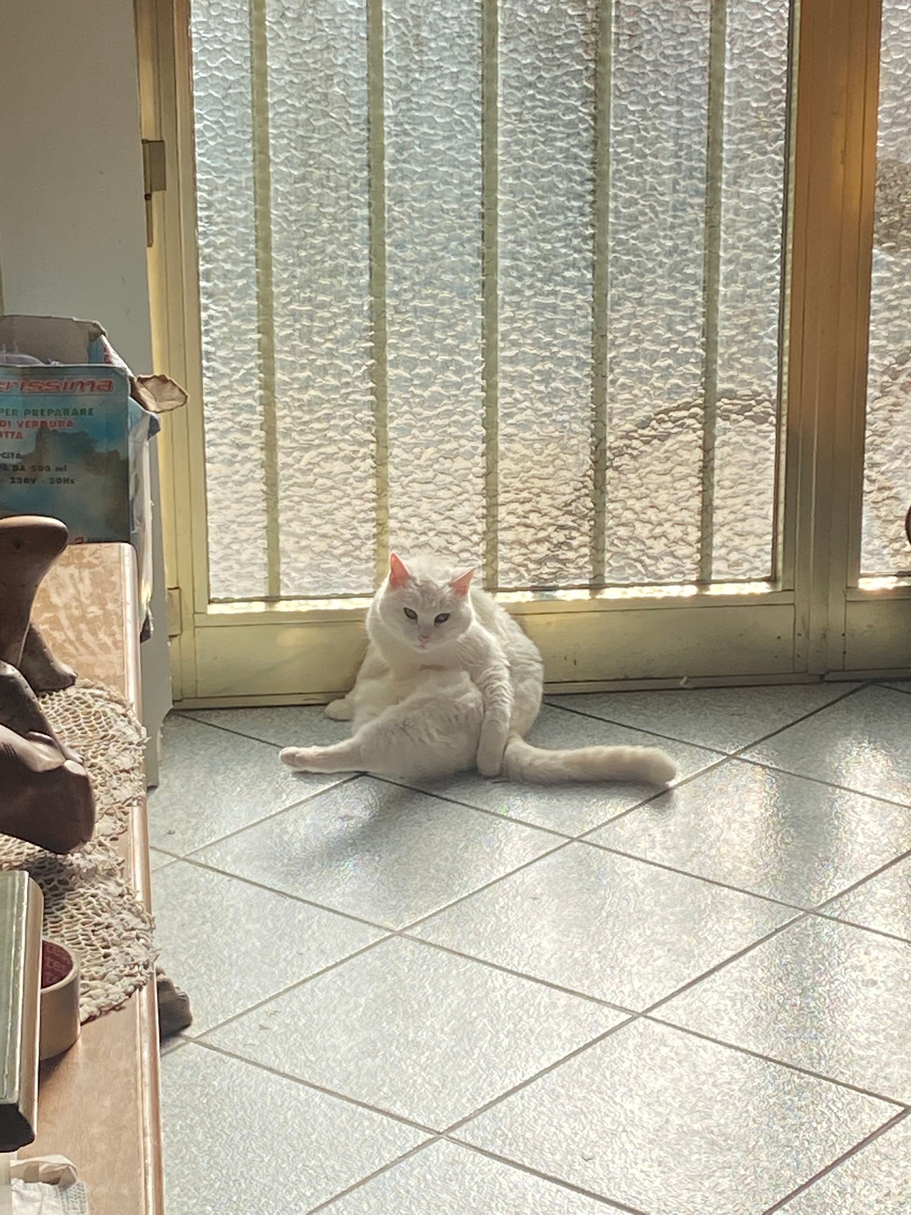 image-13