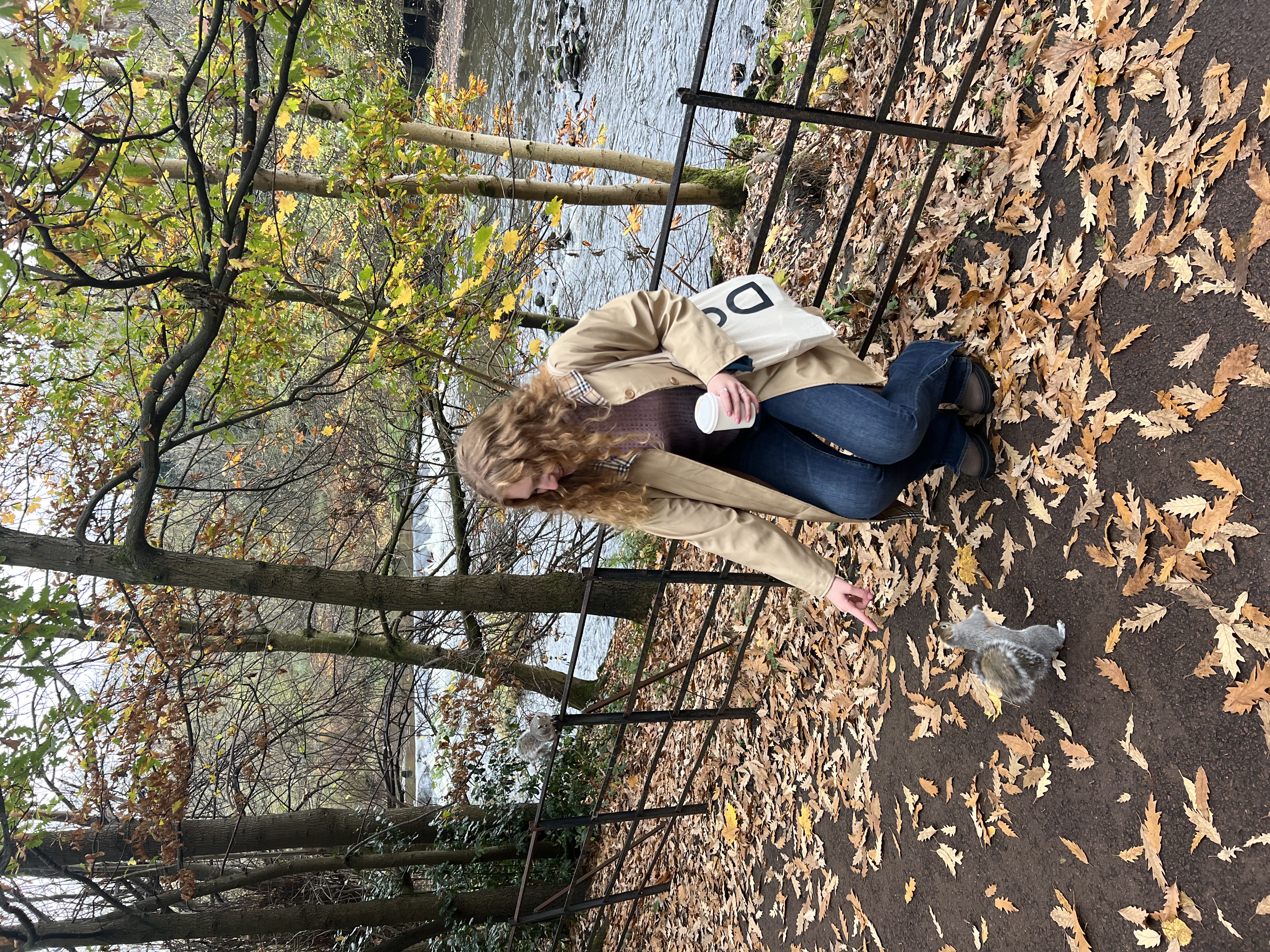 image-11