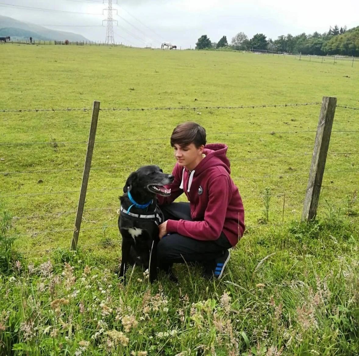 image-11