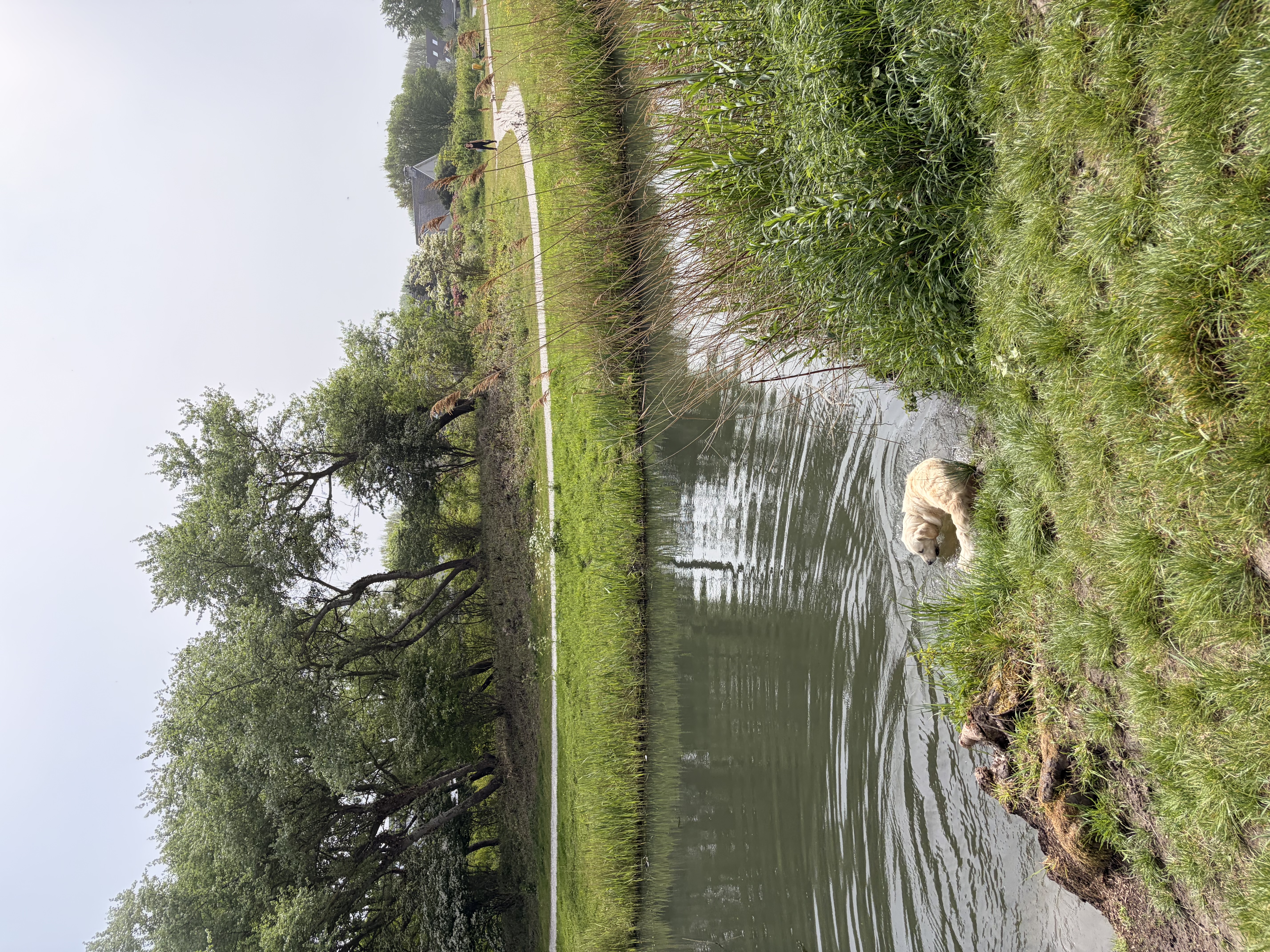 image-29