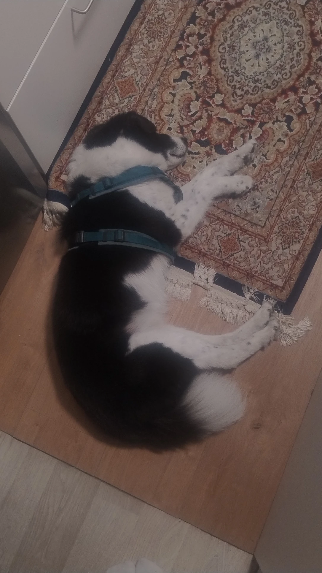 image-9