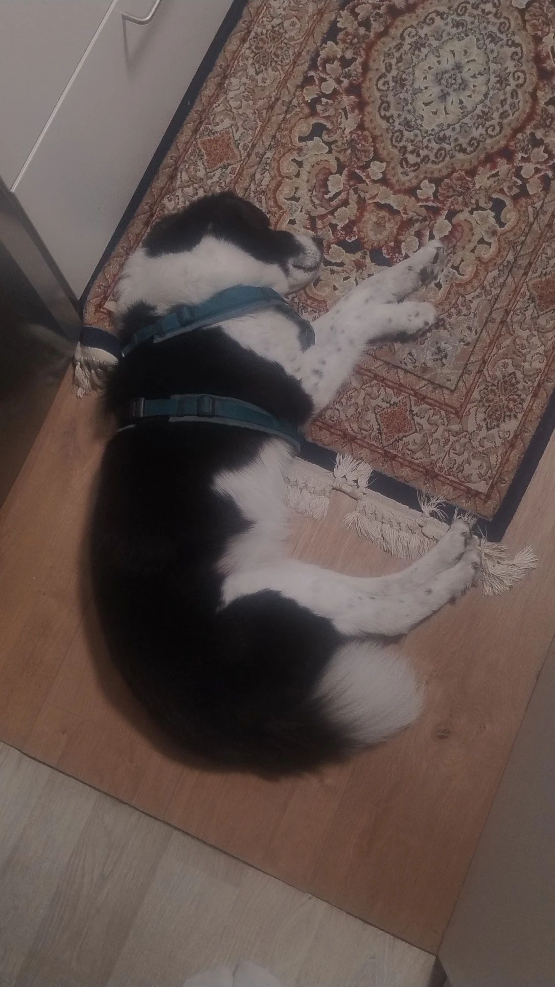 image-9