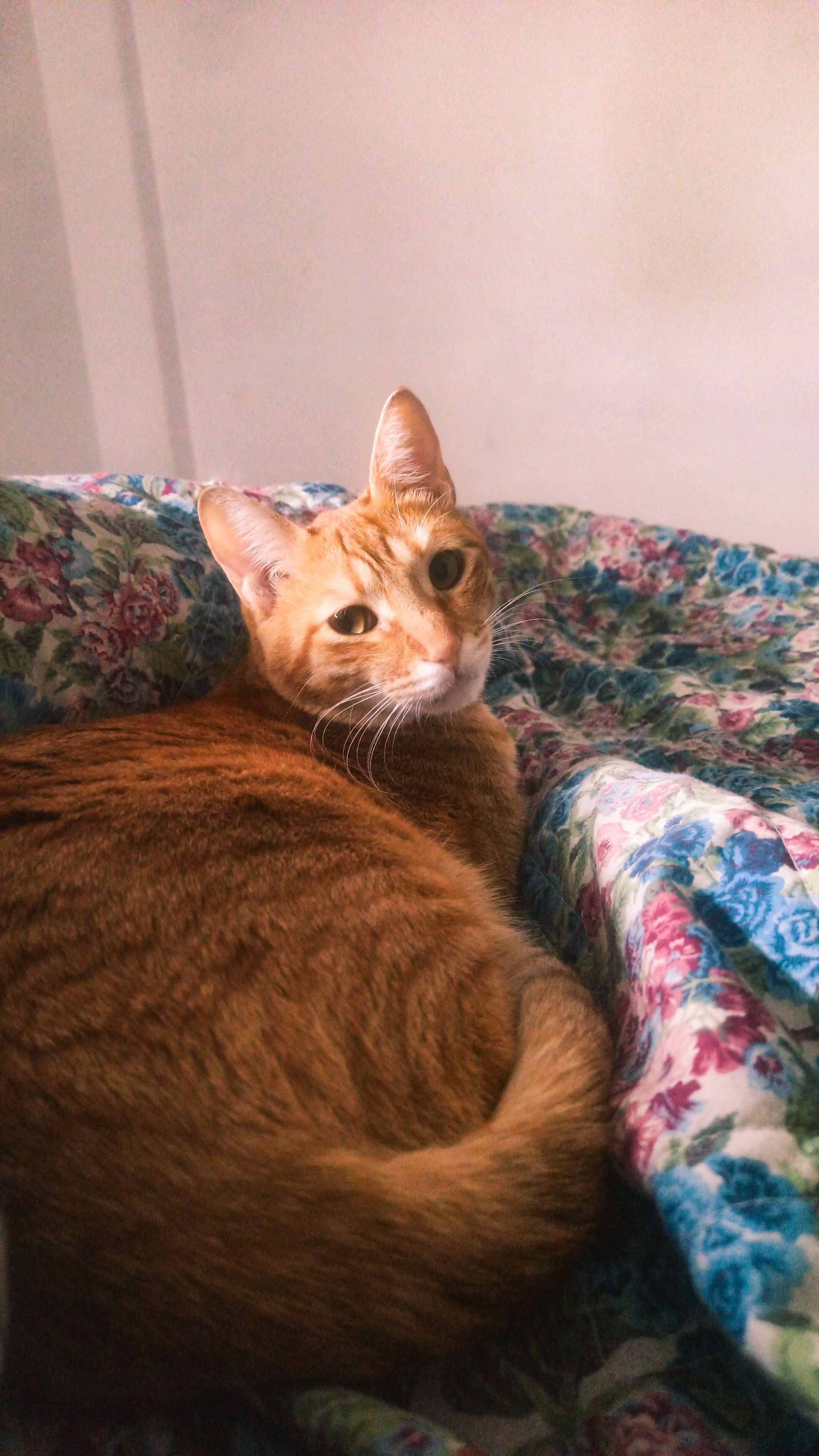 image-7