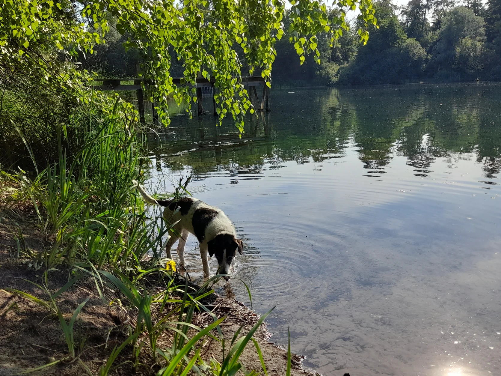 image-8