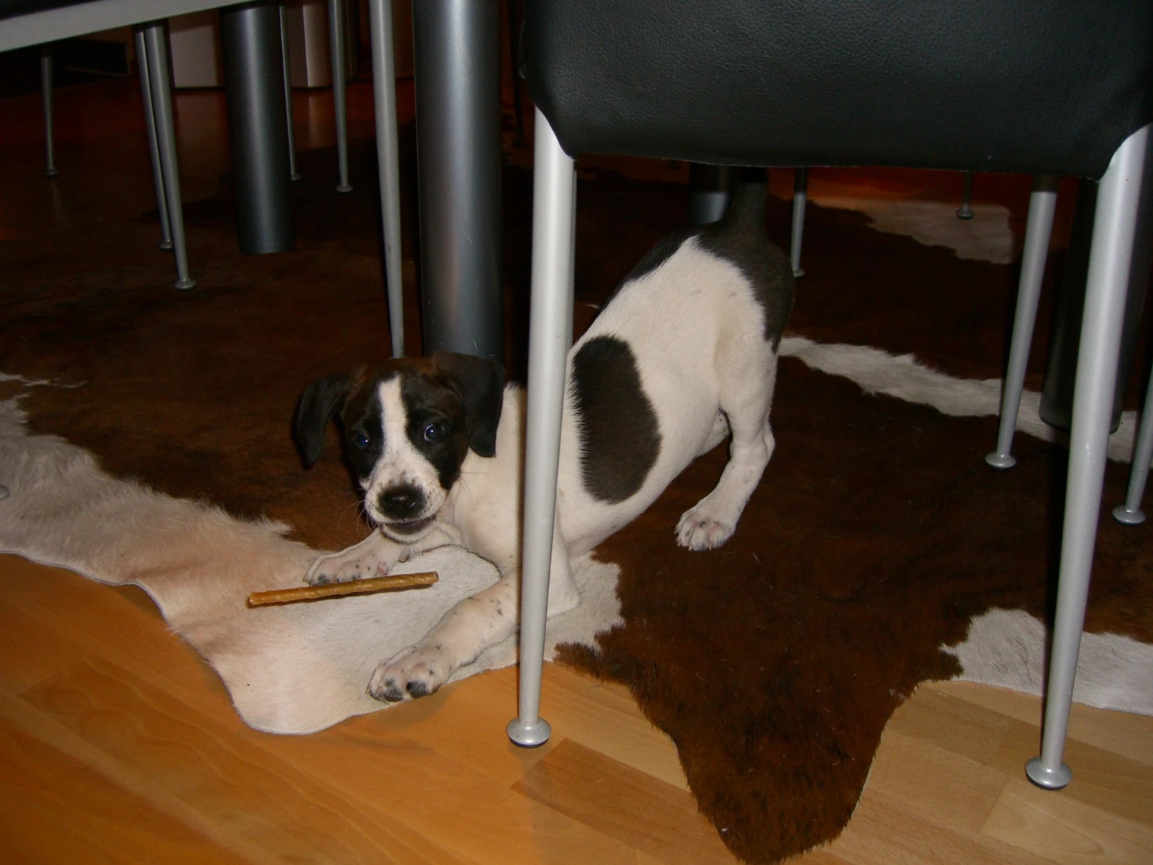 image-4
