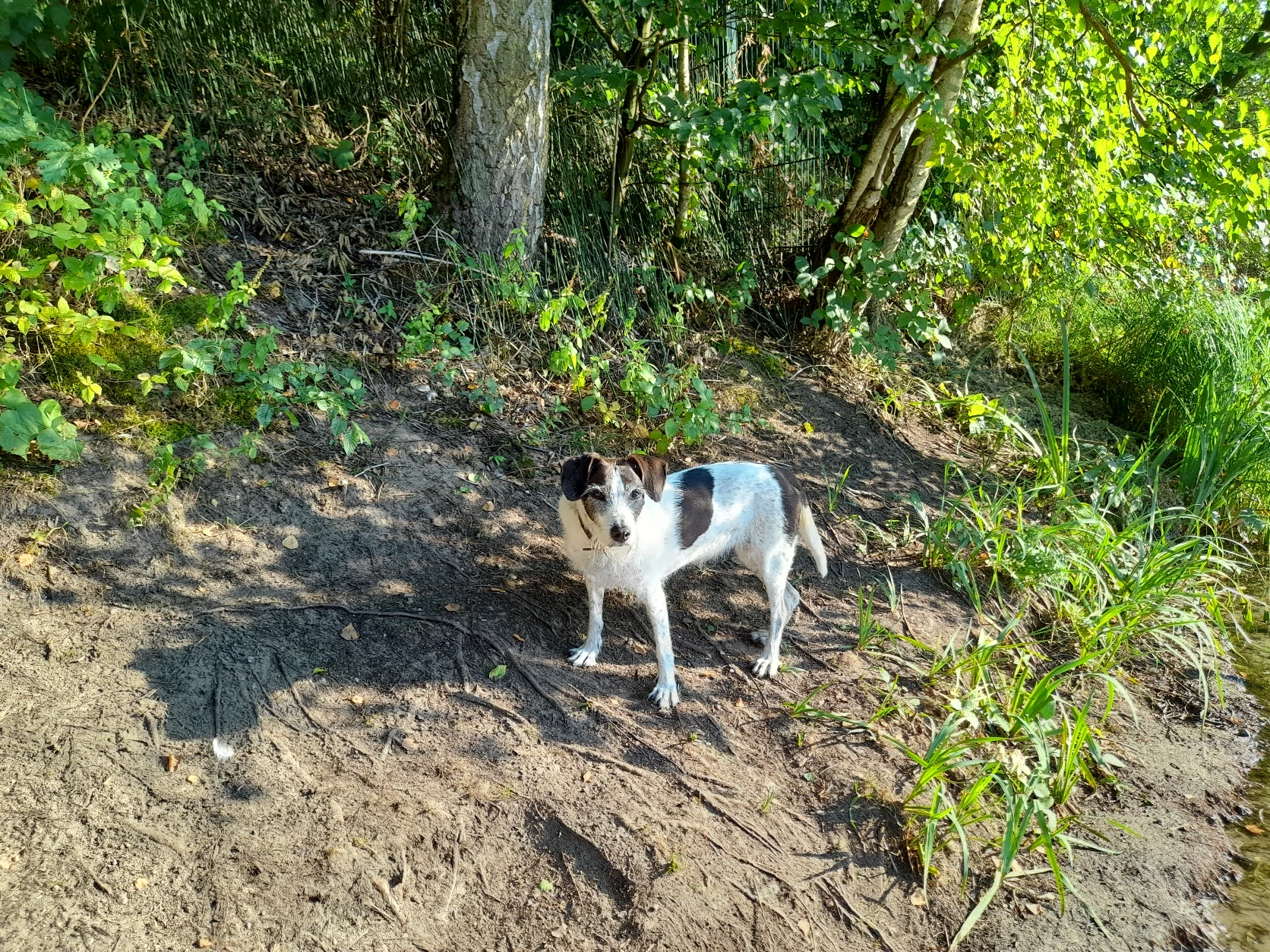 image-9