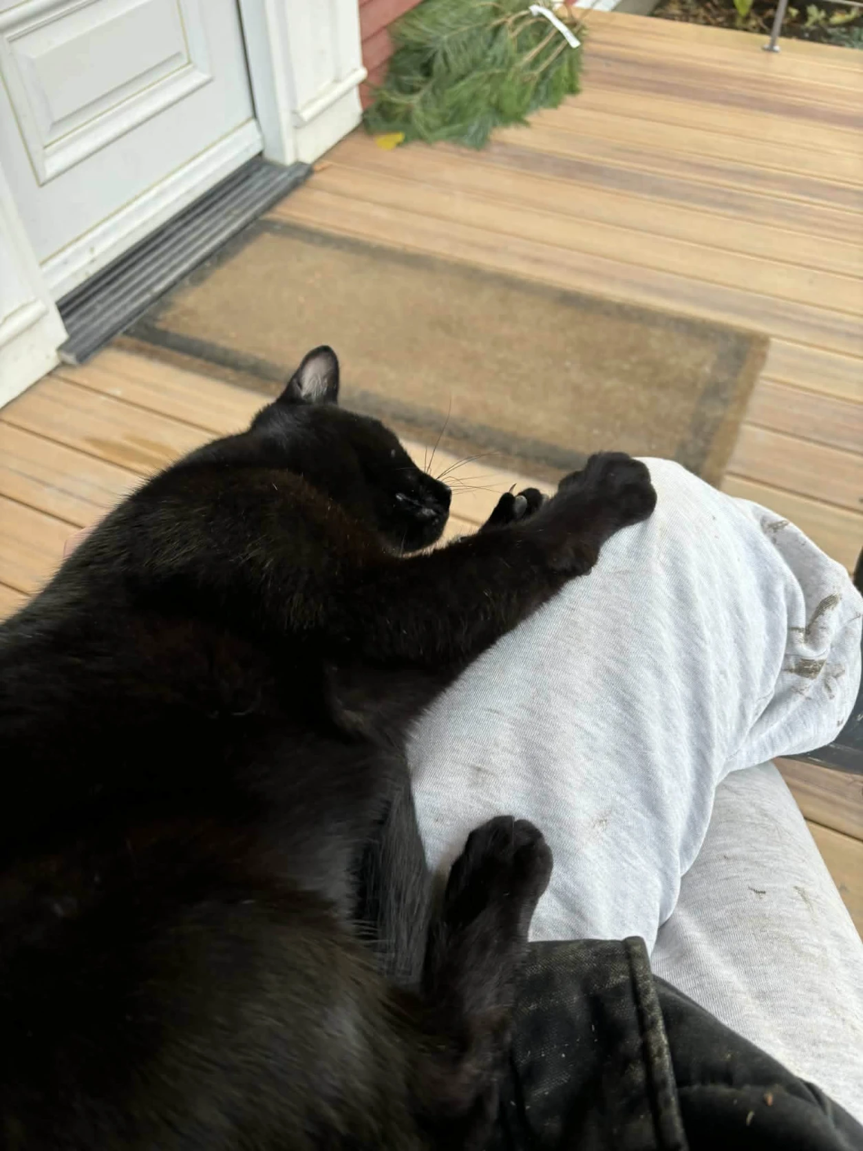 image-8