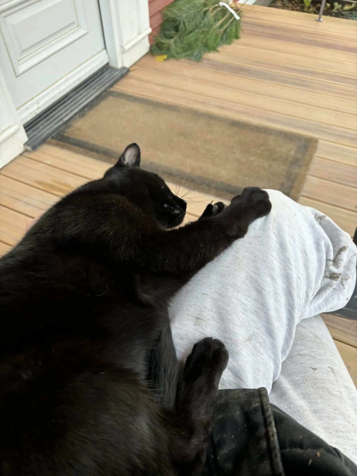 image-8