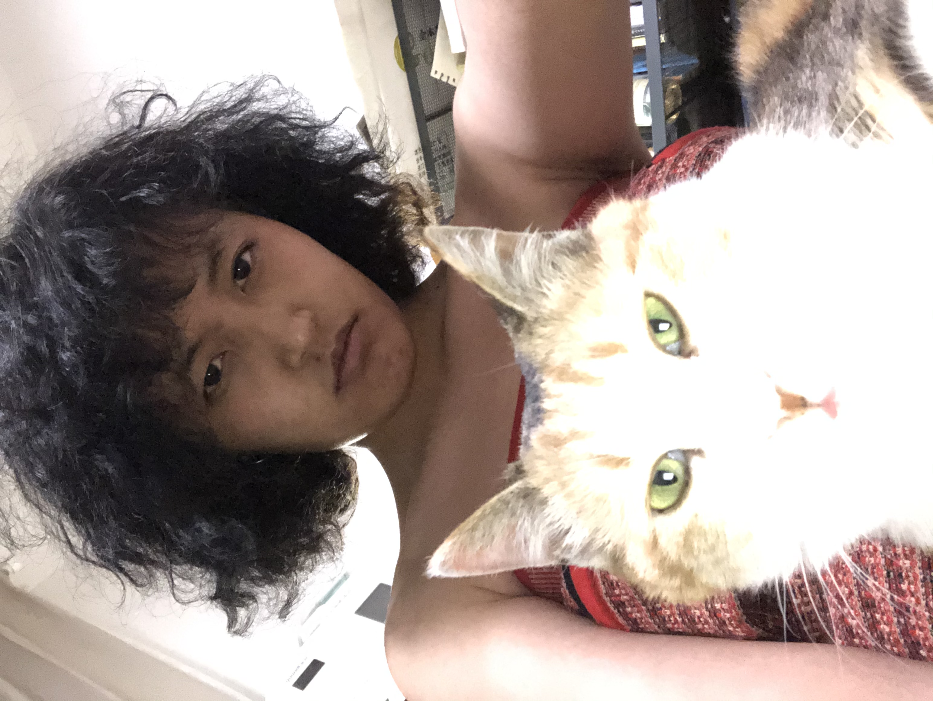 image-7