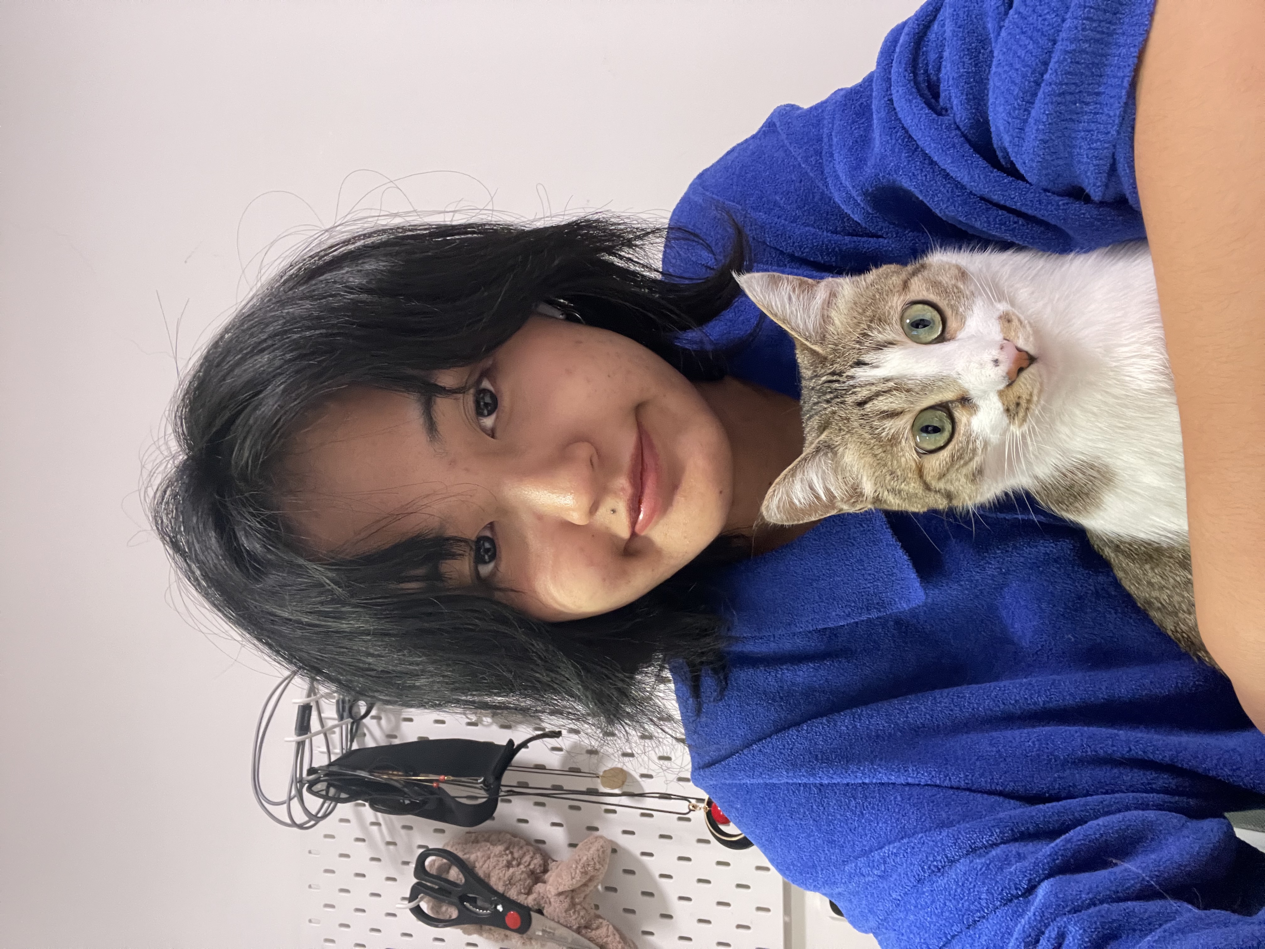 image-5