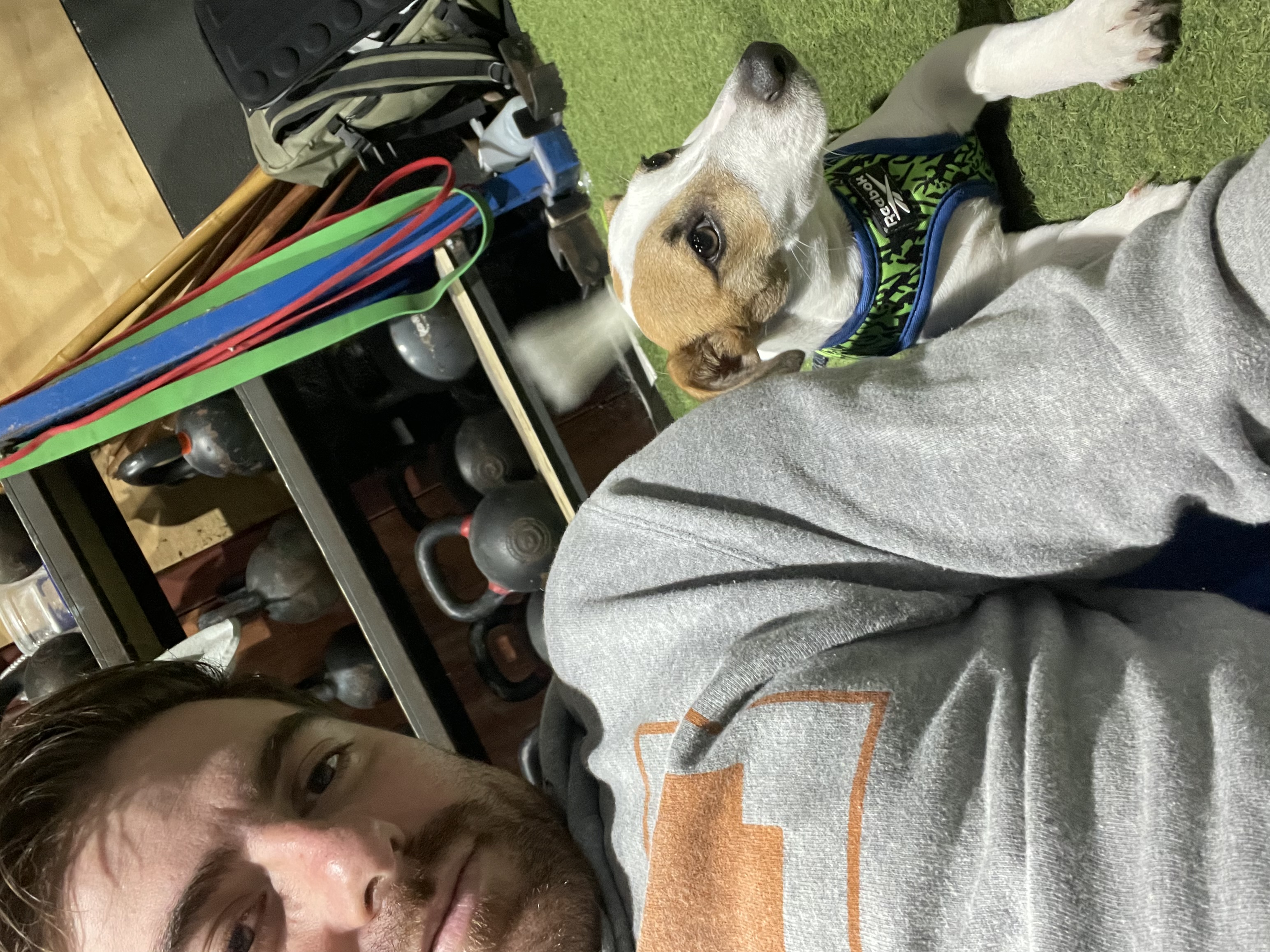 image-4