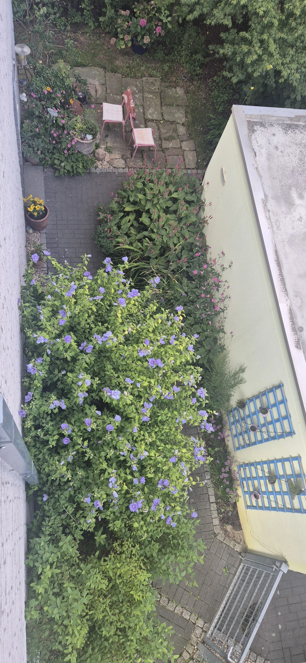 image-16
