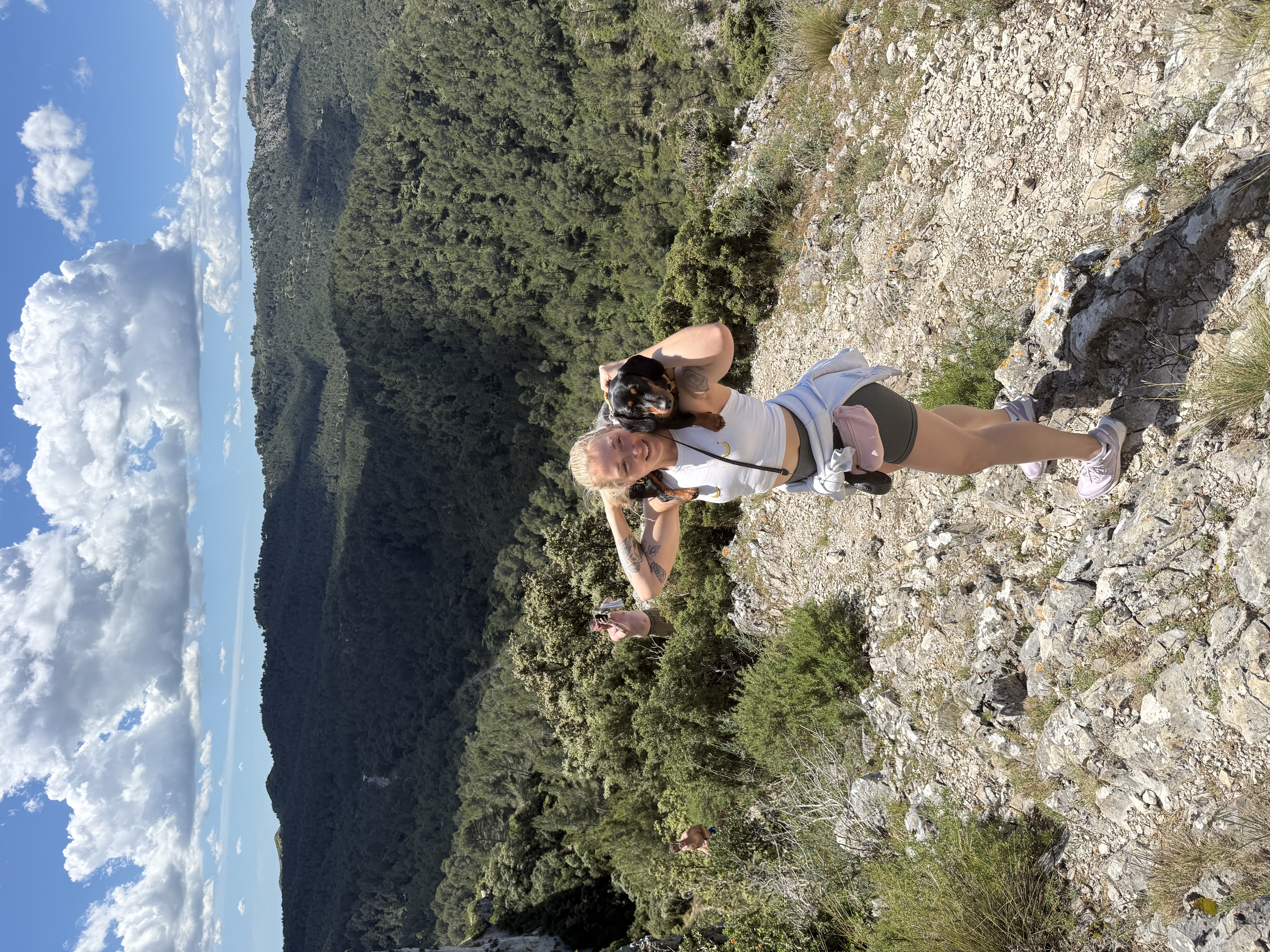 image-2